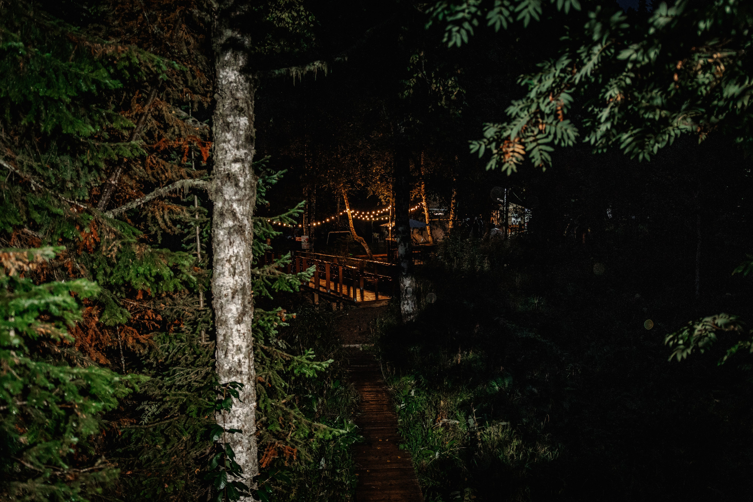 Дог-треккинг