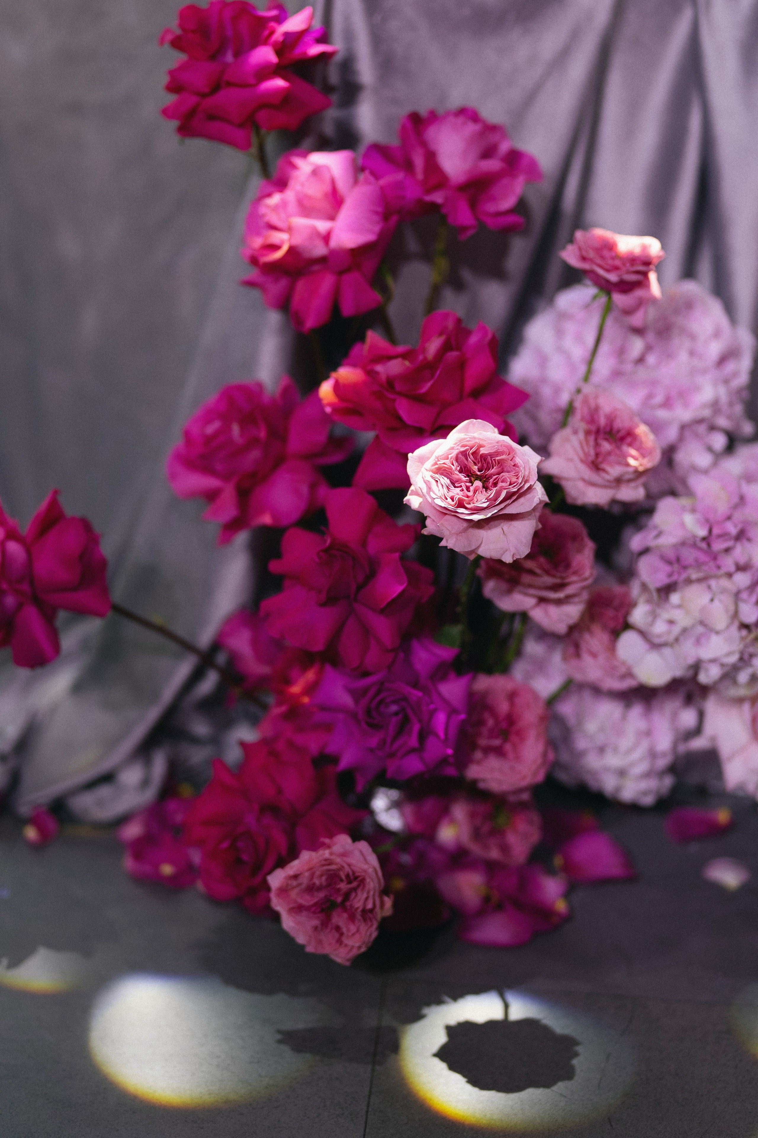 «СИЛА ПРИТЯЖЕНИЯ». Maria Startseva Photo