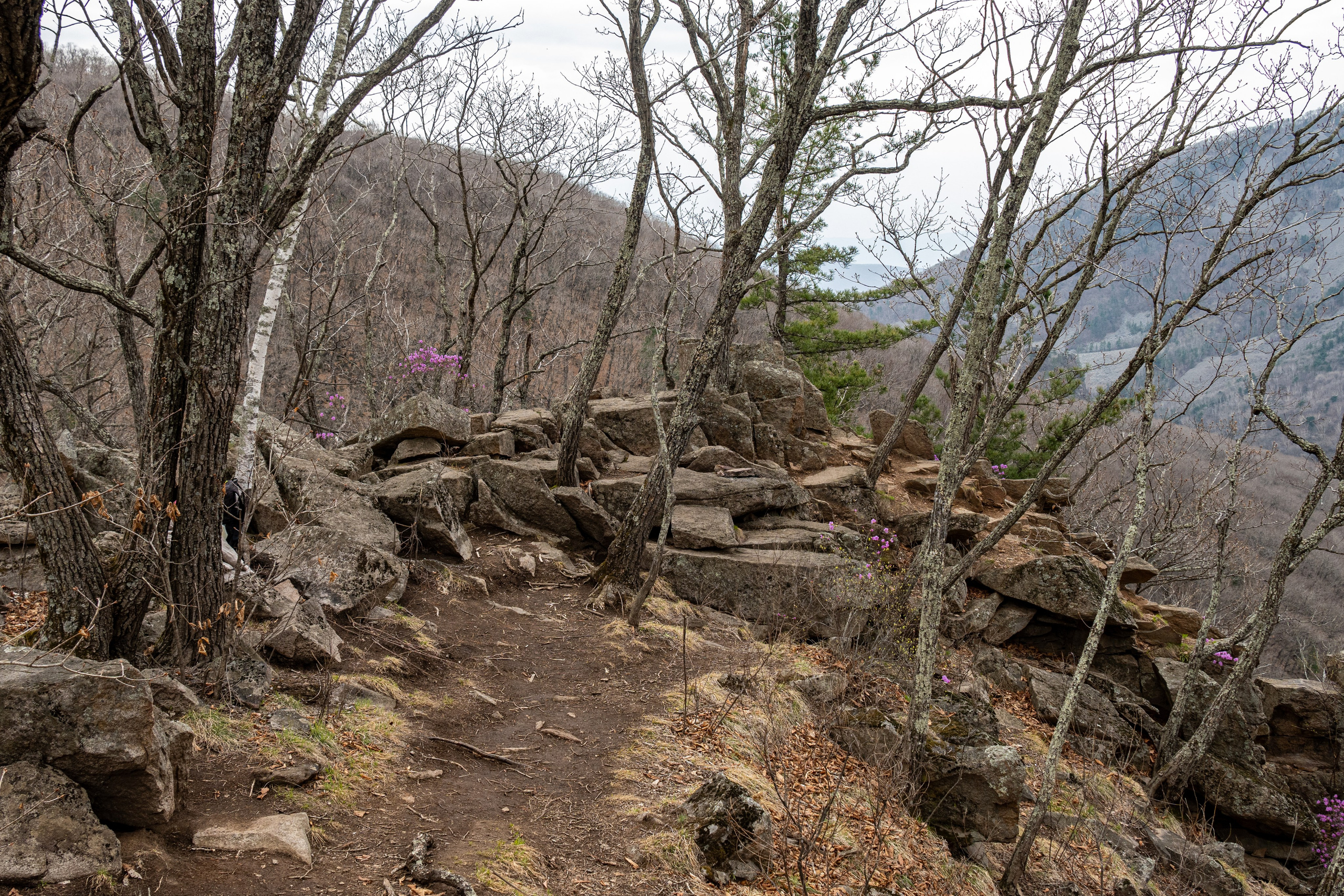 Ущелье Дарданеллы. Репортажный и портретный фотограф во Владивостоке Денис Седов