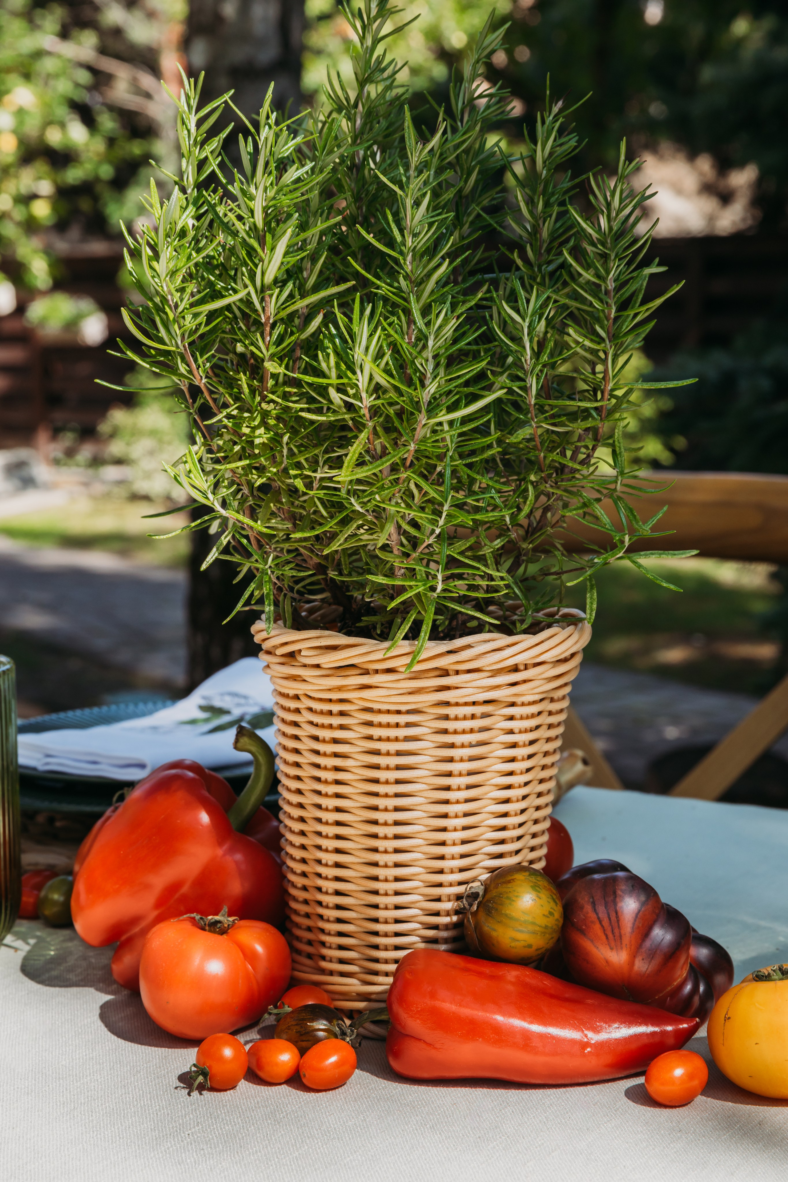 Родные люди «Итальянский день». Леся Гаранина. Семейный фотограф/видеограф Москва и область