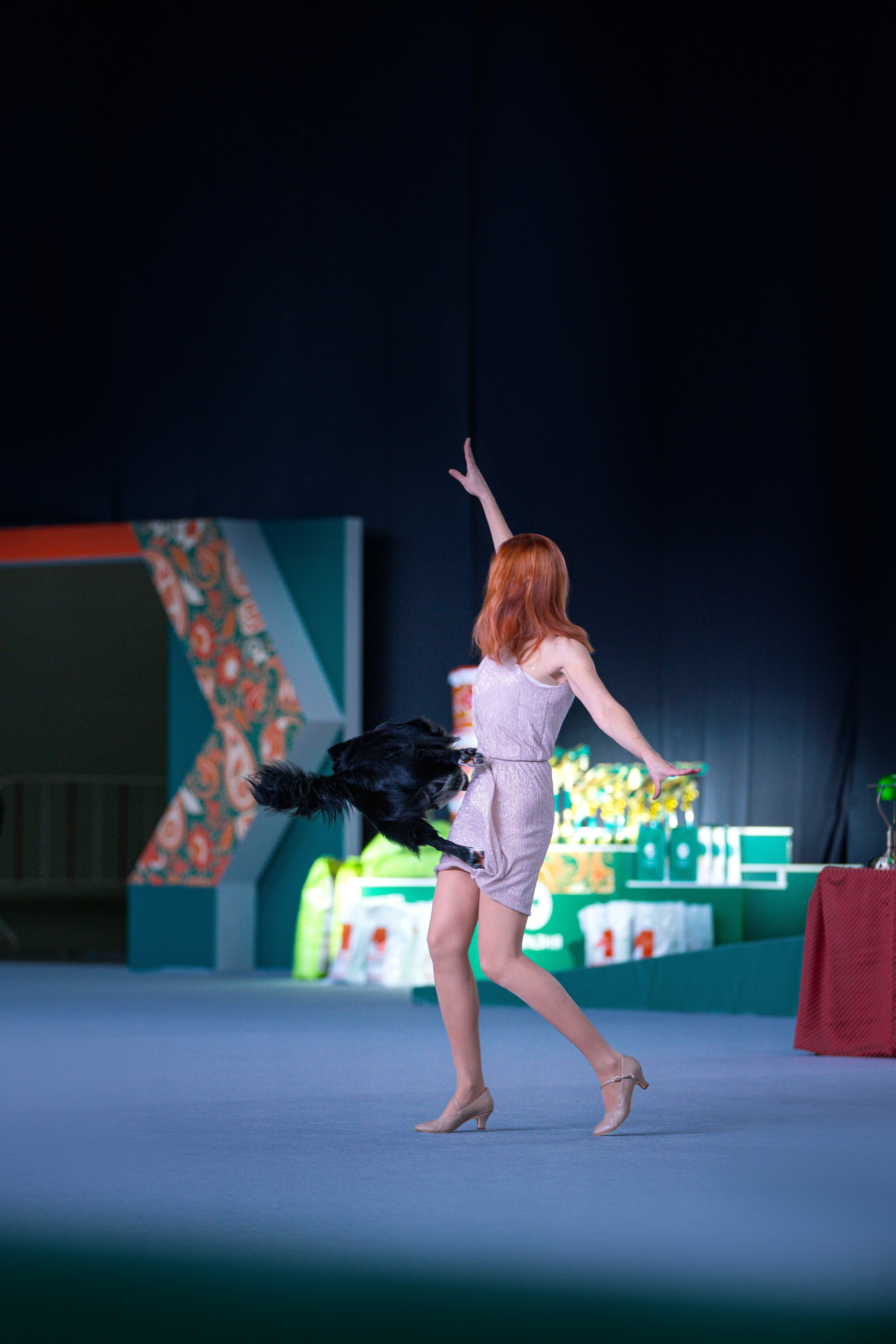 Выставки. Фотограф анималист в Москве Майорова Евгения