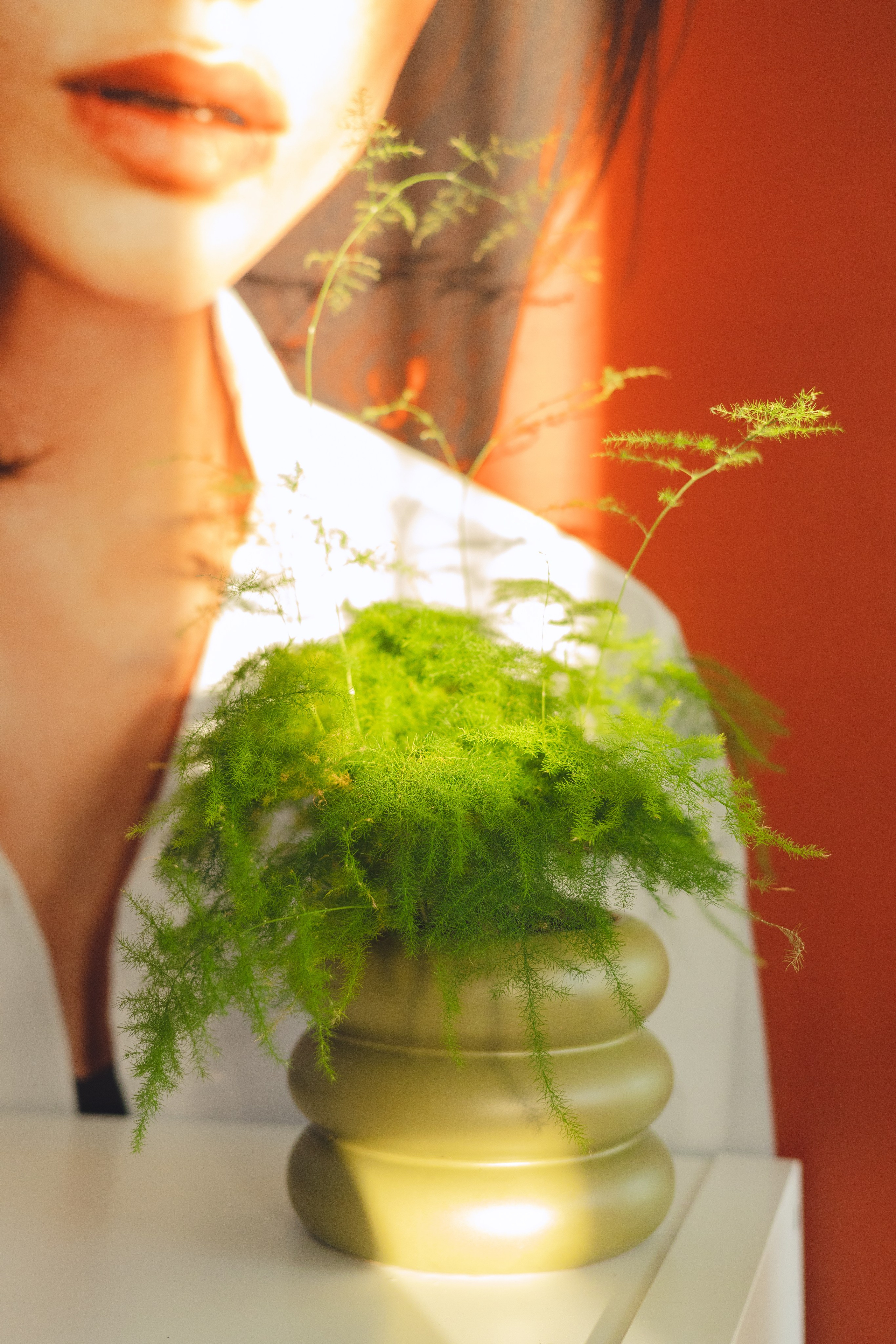 Предметная съемка для бизнеса. Фотограф в Санкт-Петербурге Осокина Елизавета