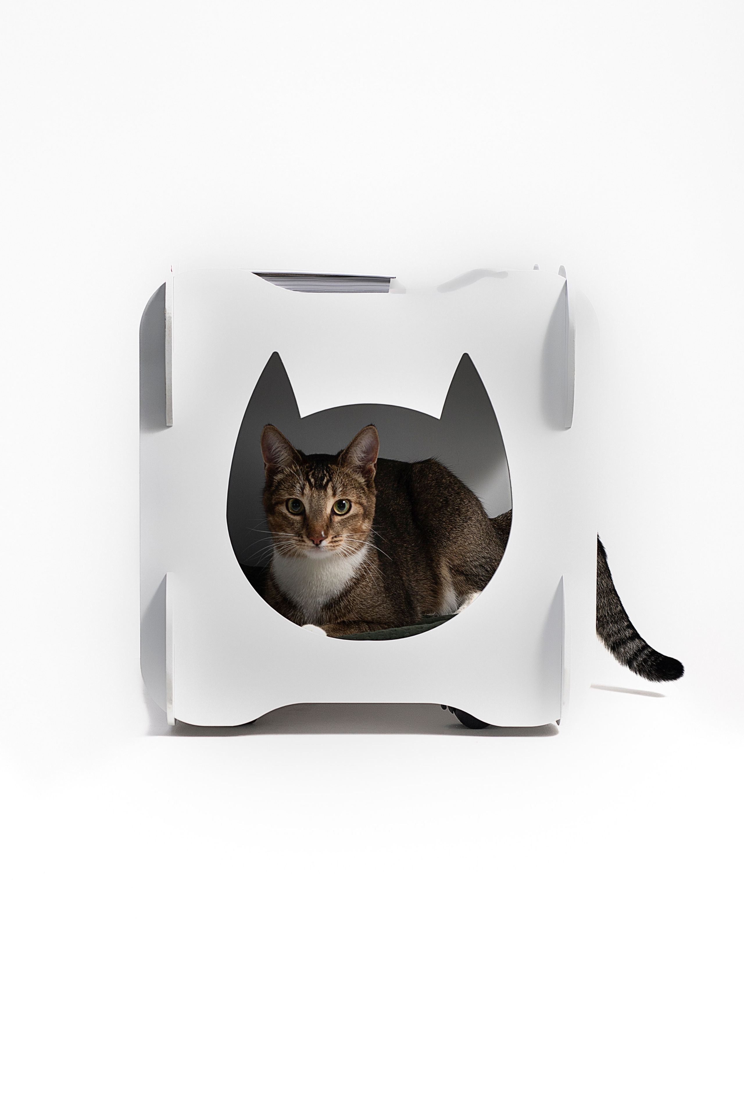 Маркетплейс. Фотограф Пушкино и Москва Анастасия Коган