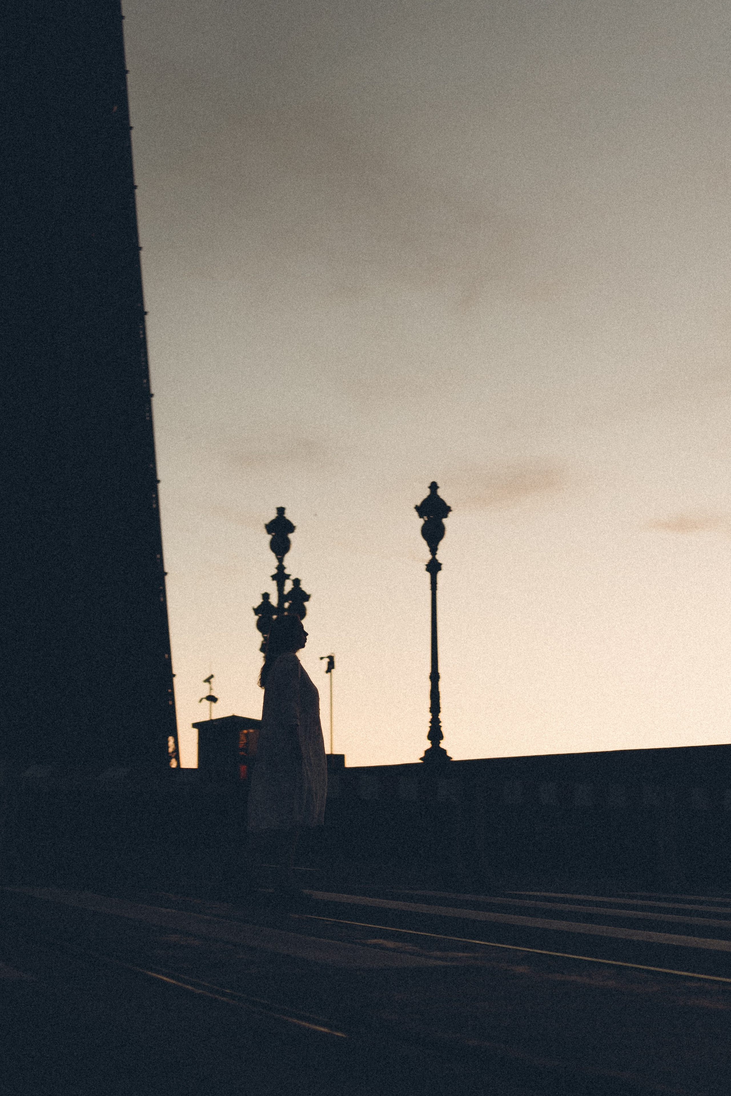 РАССВЕТ С РАЗВОДНЫМИ МОСТАМИ. Профессиональный фотограф, Санкт-Петербург — Виктория Богомолова