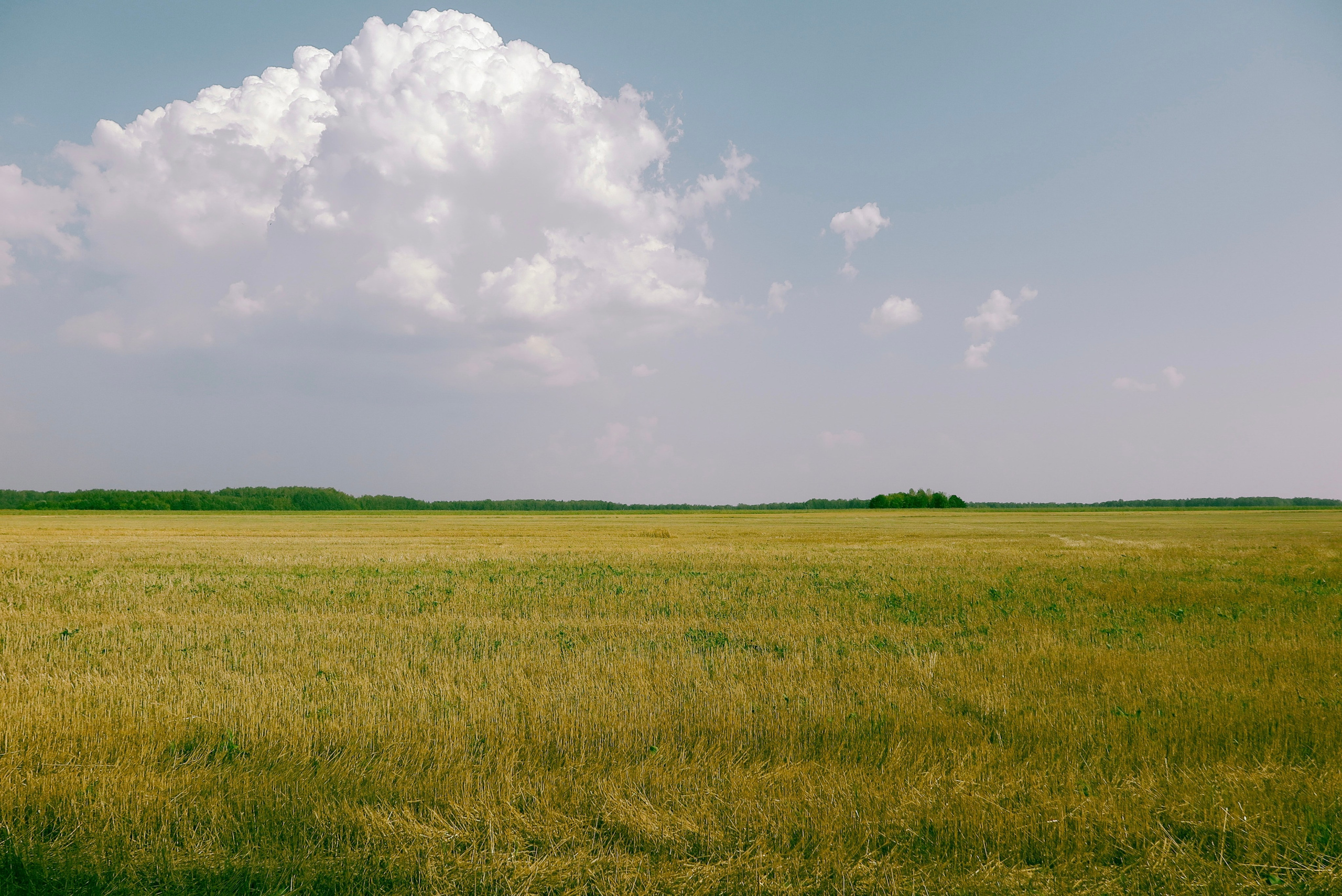 Фотограф Москва
