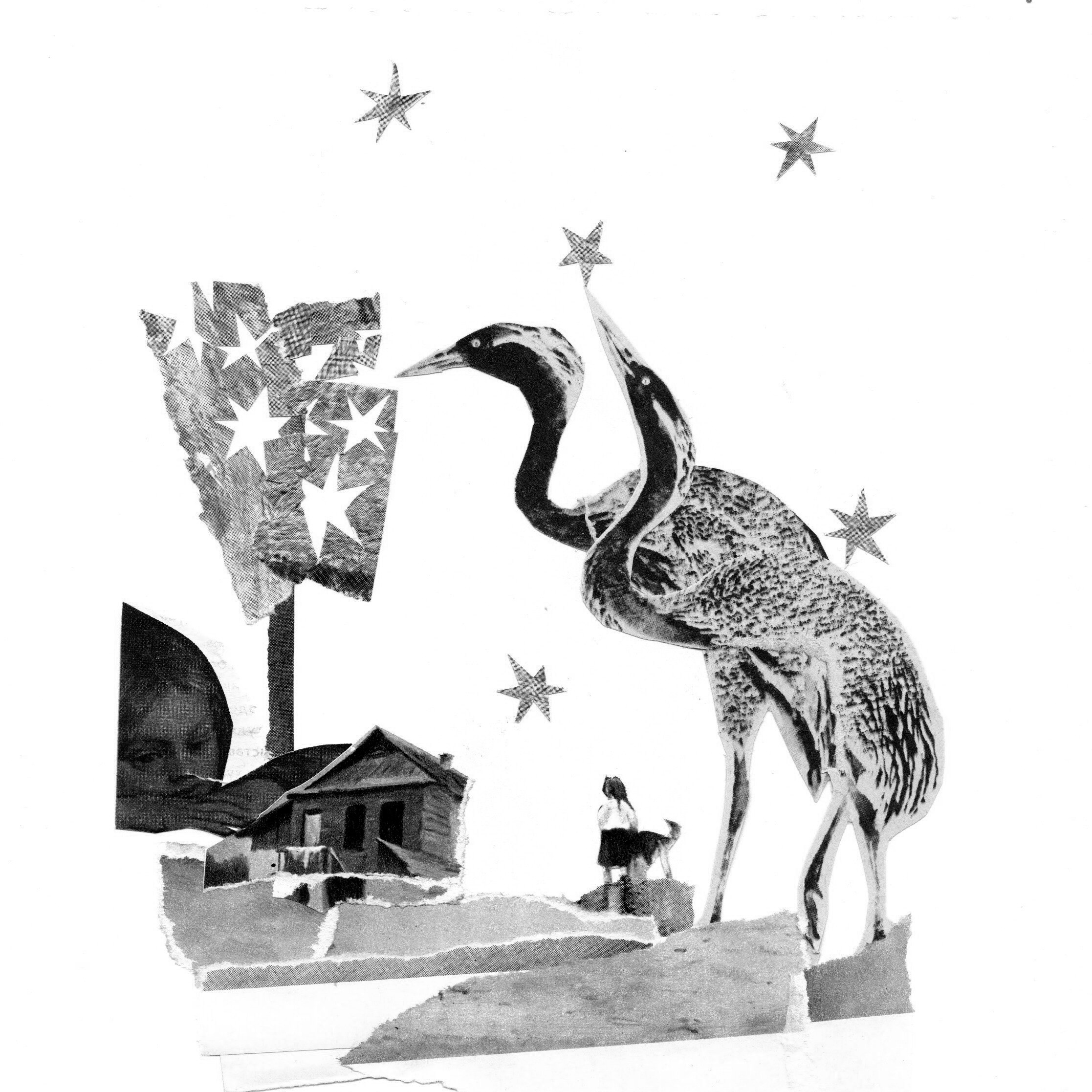 Коллажный дневник. Фотограф Анна Кирнос