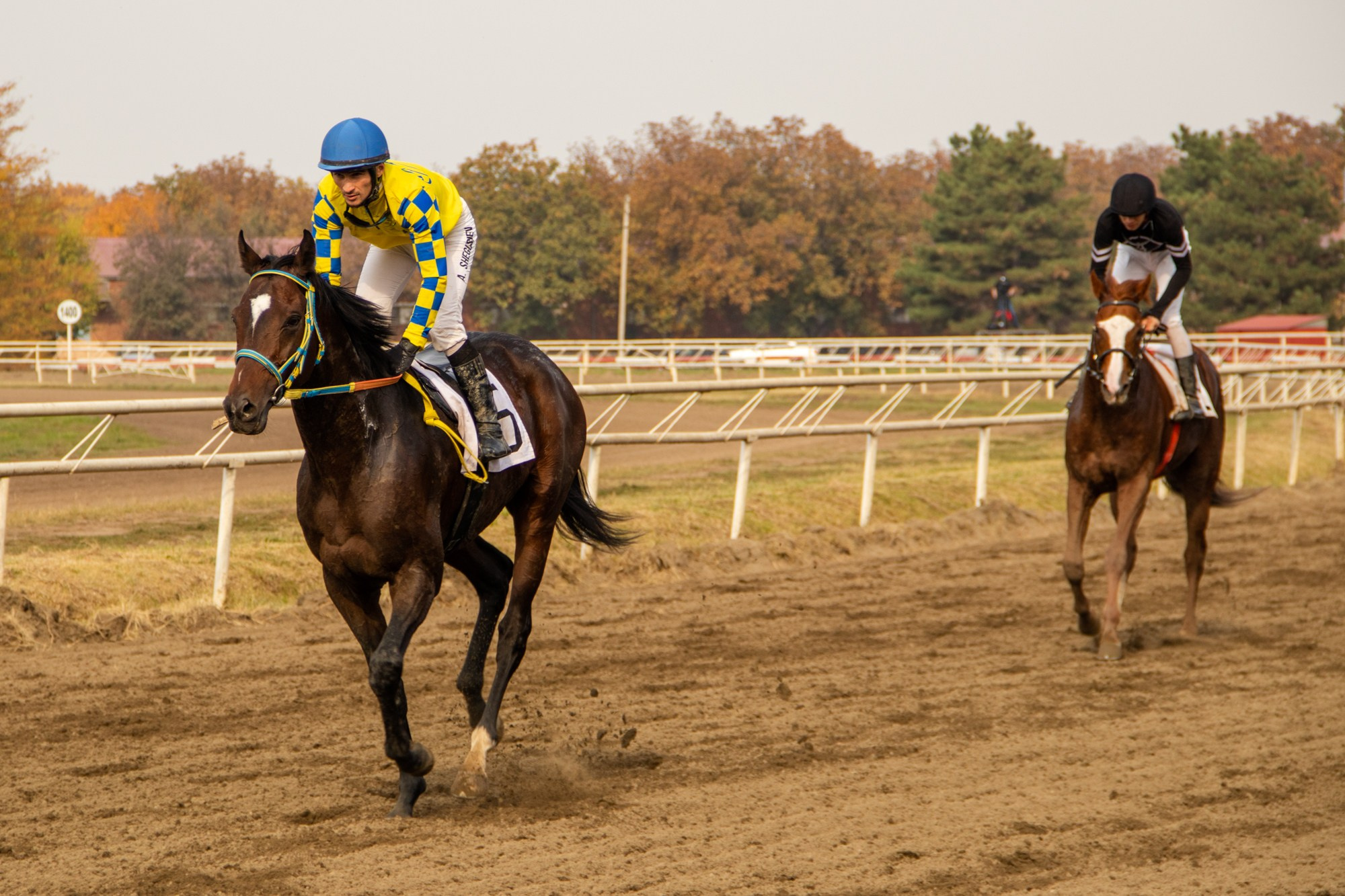 Закрытие скакового сезона на Краснодарском ипподроме. Репортажный, промышленный и маркетплейс-фотограф Дмитрий Чернат