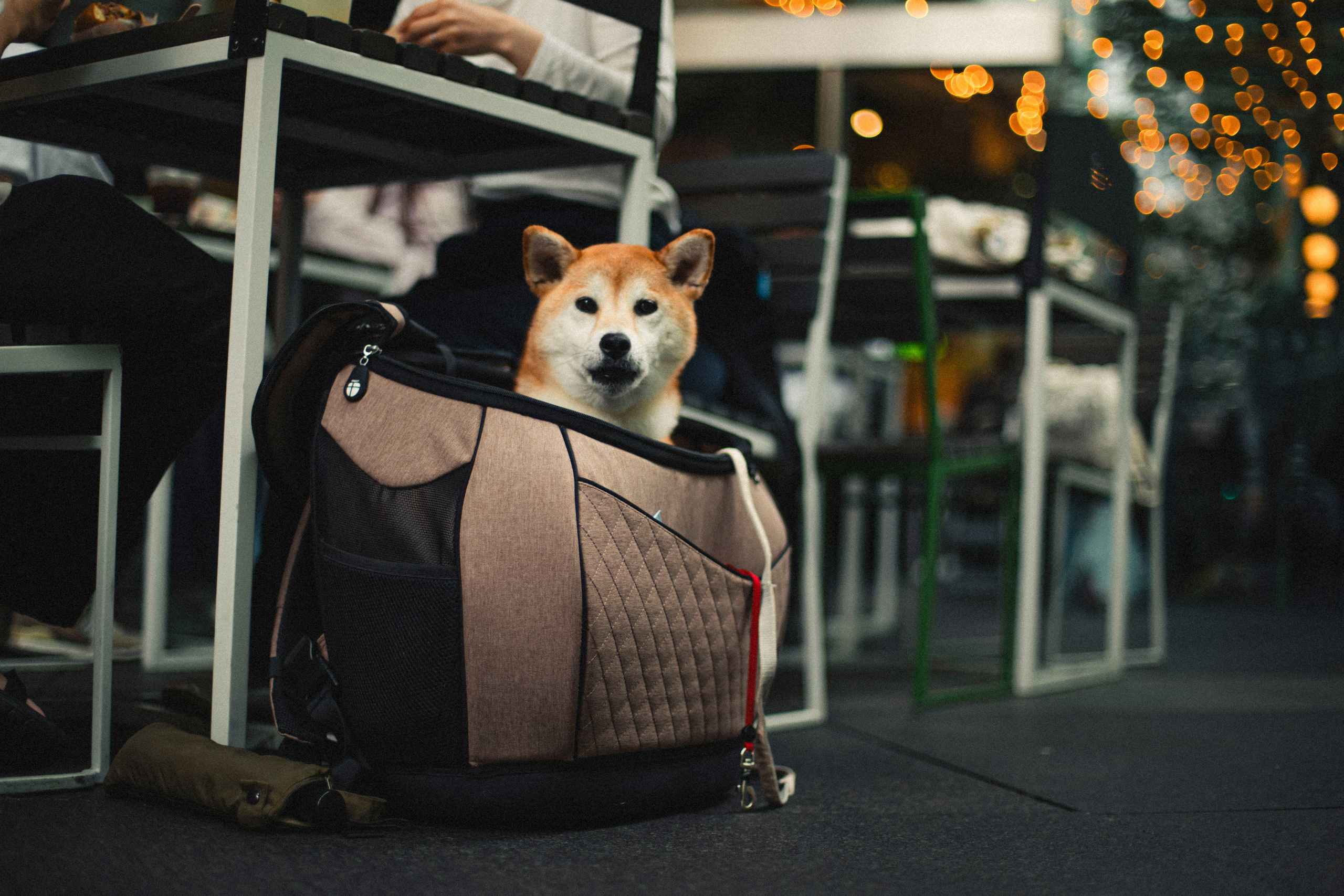 Japan, Tokyo. Репортажный фотограф Андрей Герасимов