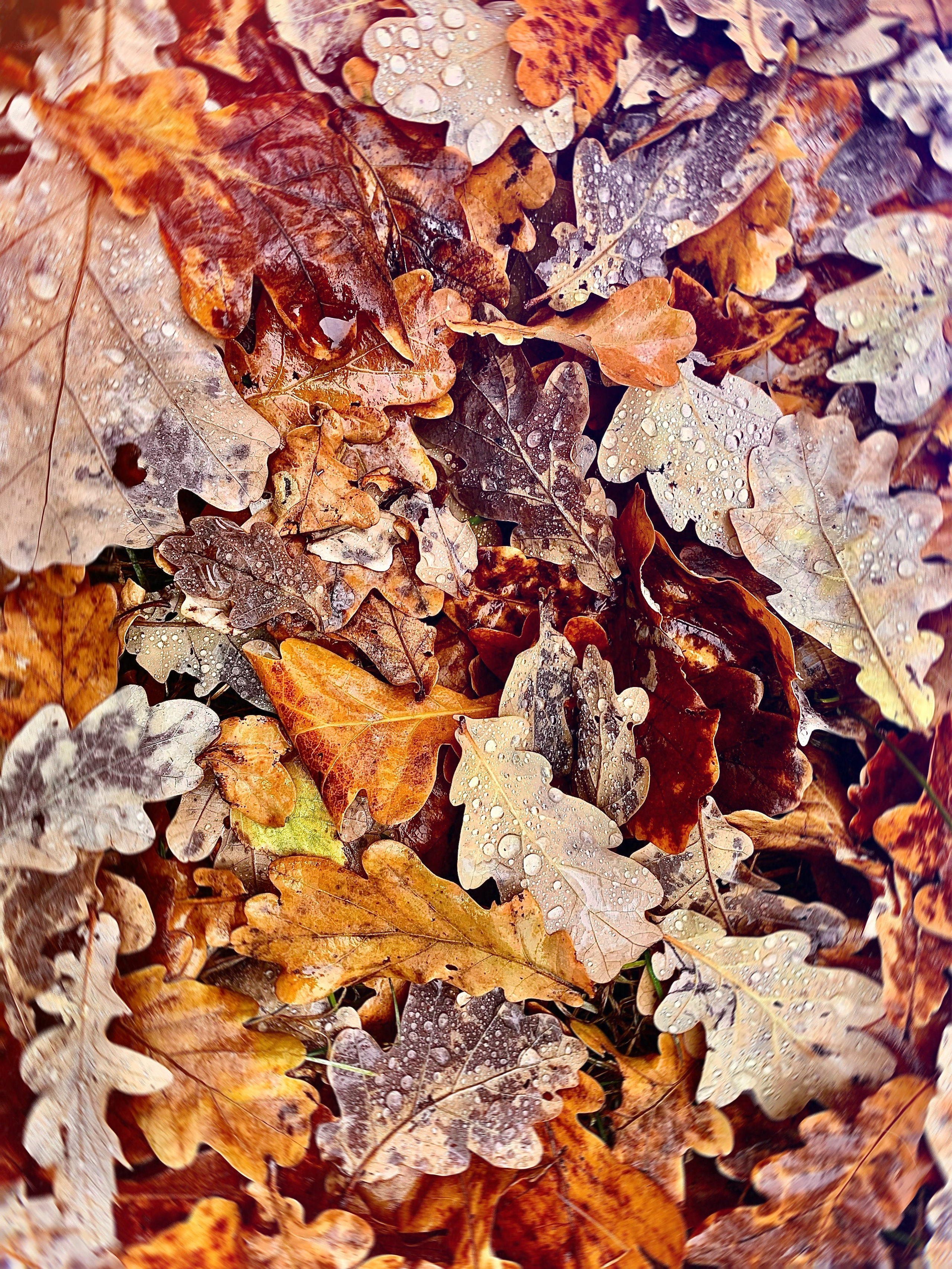 Флористическая. KUPINИ | ФОТО — сайт портфолио по мультижанровой съёмке | фотограф Сергей Мар