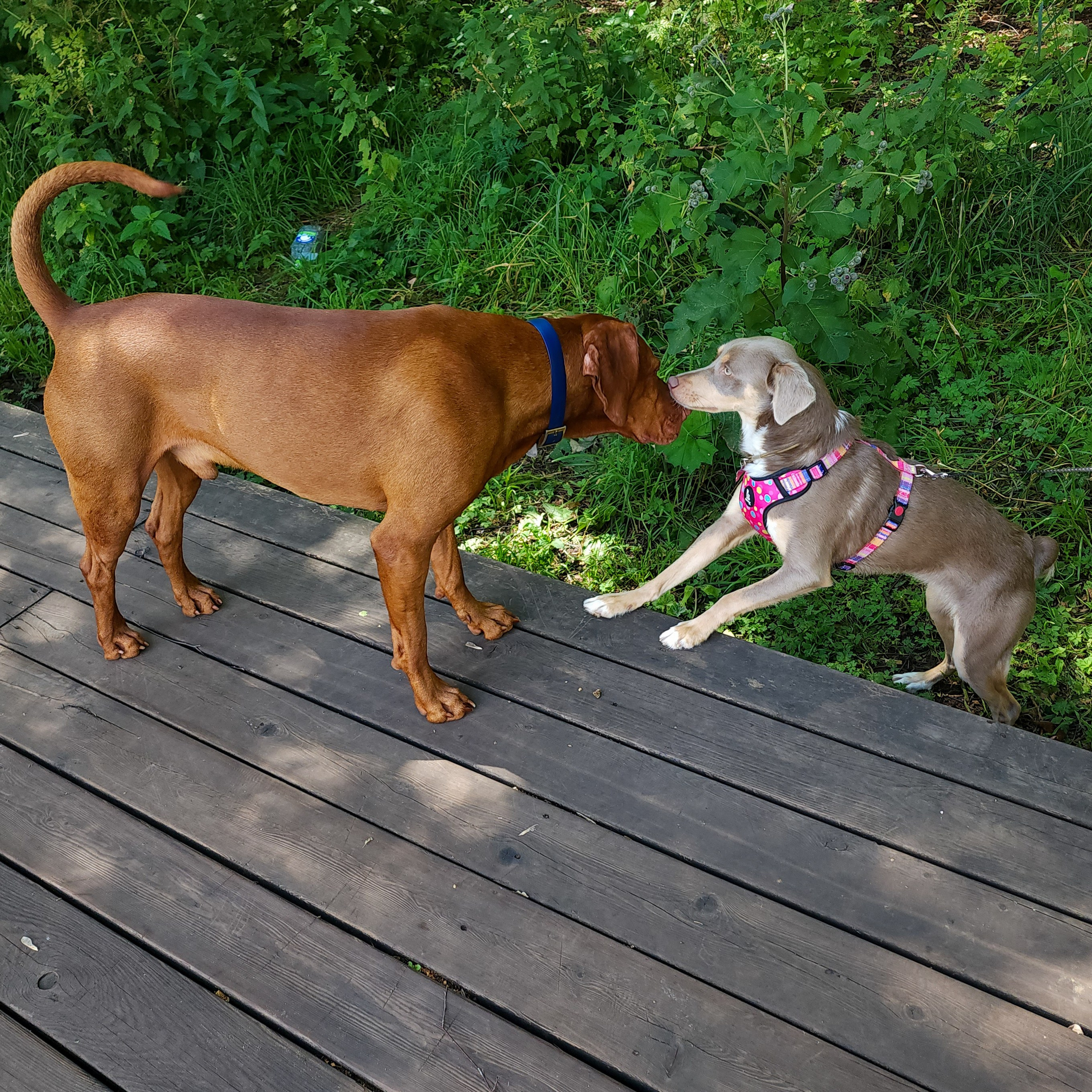 Репортажное фото фотопрогулка