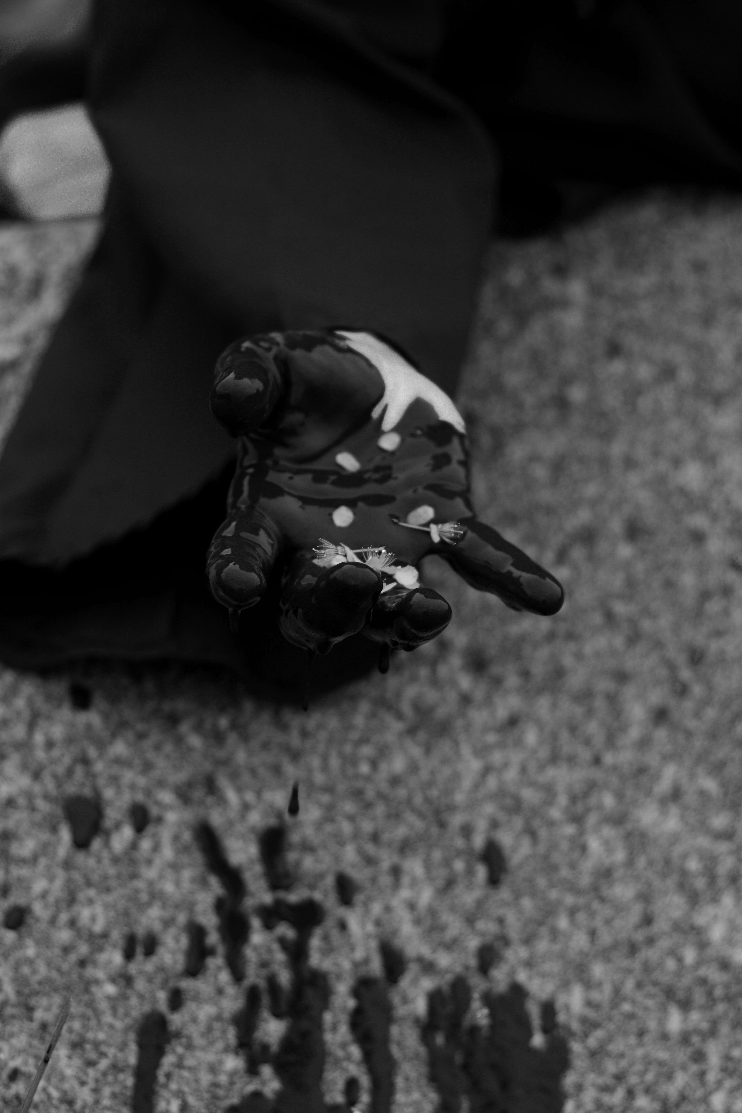 Творческие. Фотограф в г. Светлогорск Ольга Трифонова