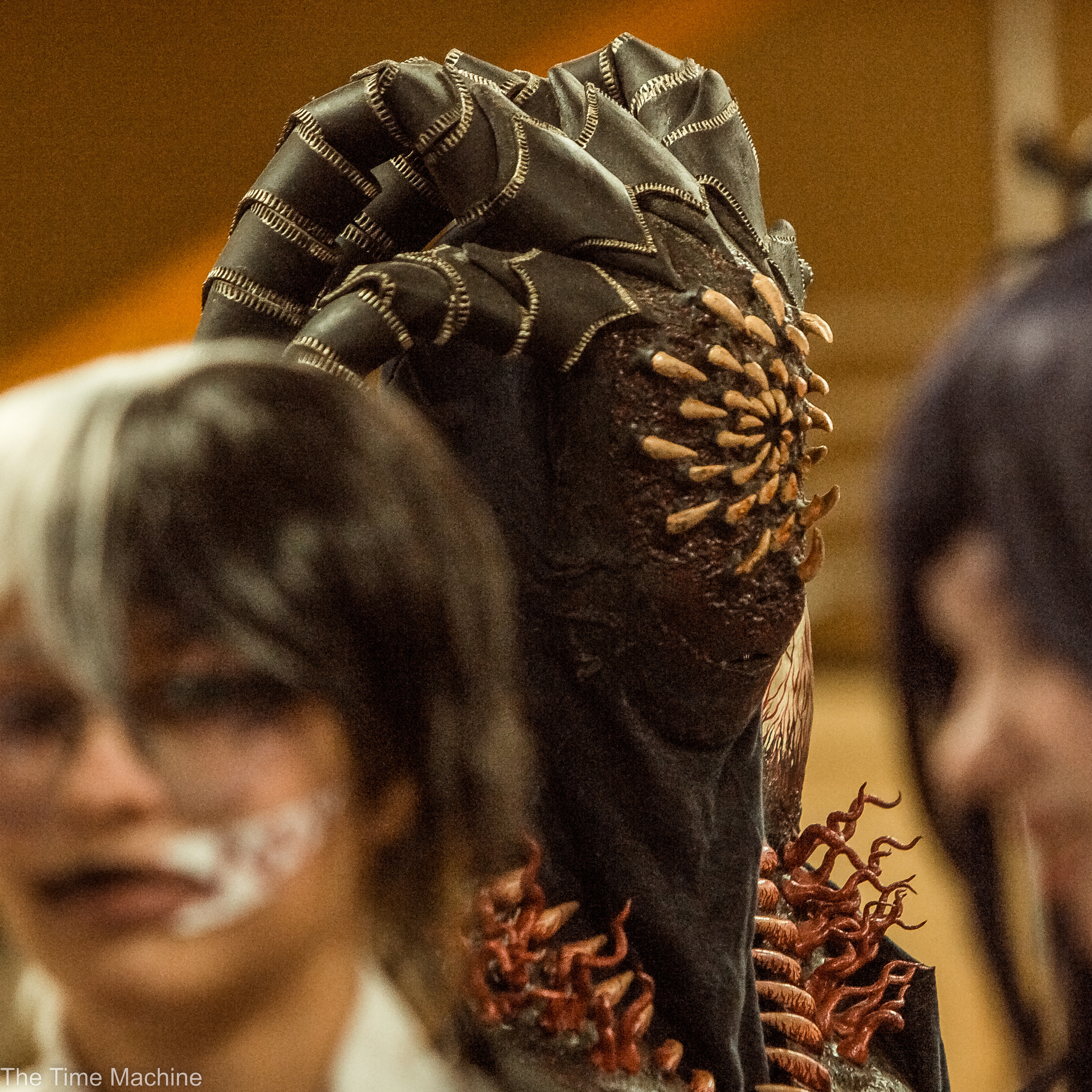 ГОТИКФЕСТ 13.11.22 ДК ЛАВРОВА МИХАИЛ БОВЕ. Фотограф для маркетплейсов Михаил Бове