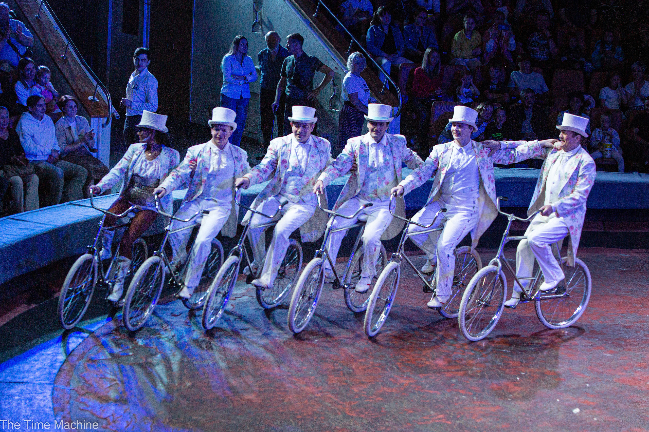 Шоу тигров и львов. Фотограф для маркетплейсов Михаил Бове