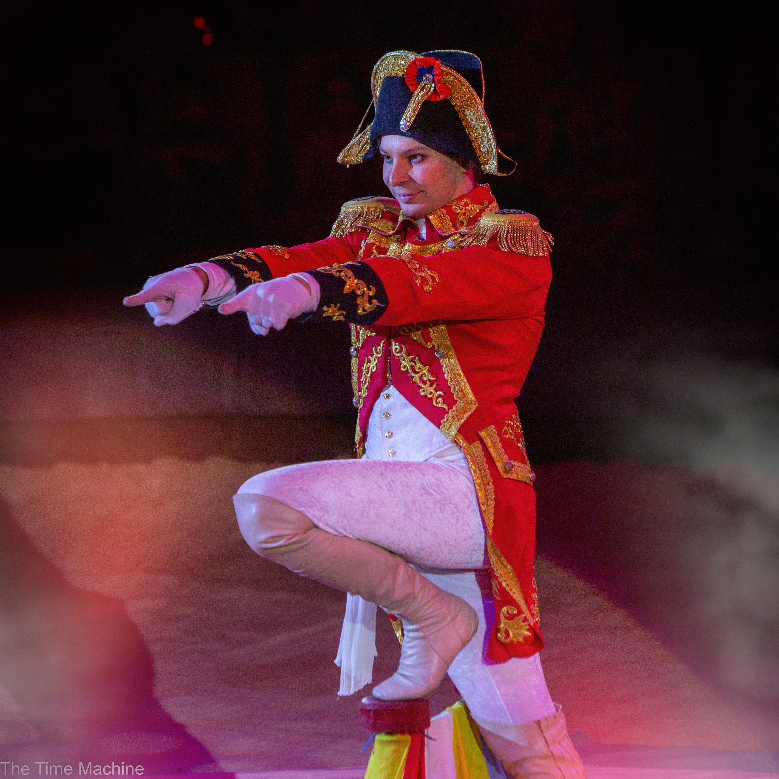 Шоу тигров и львов. Фотограф для маркетплейсов Михаил Бове