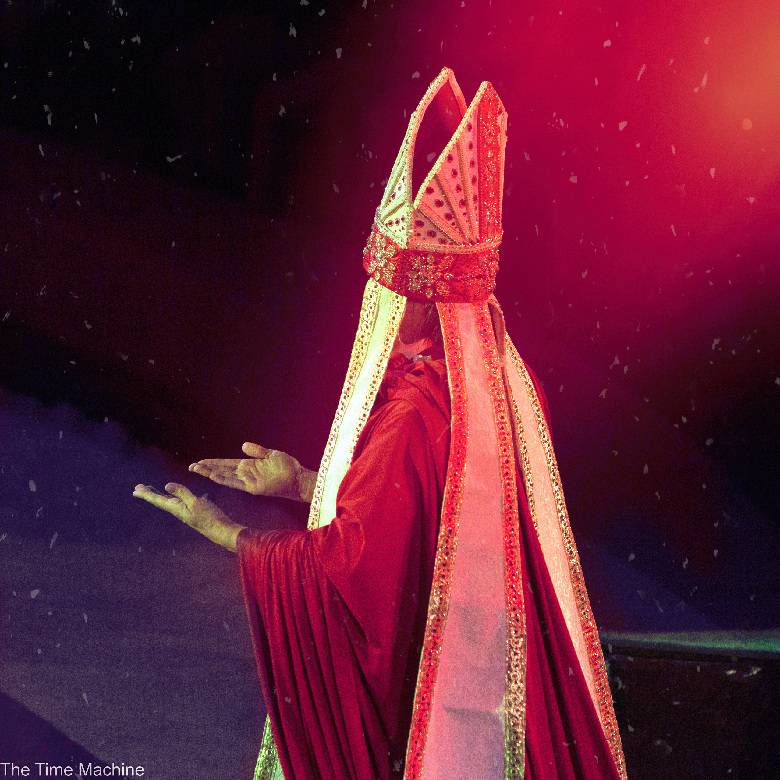 Шоу тигров и львов. Фотограф для маркетплейсов Михаил Бове