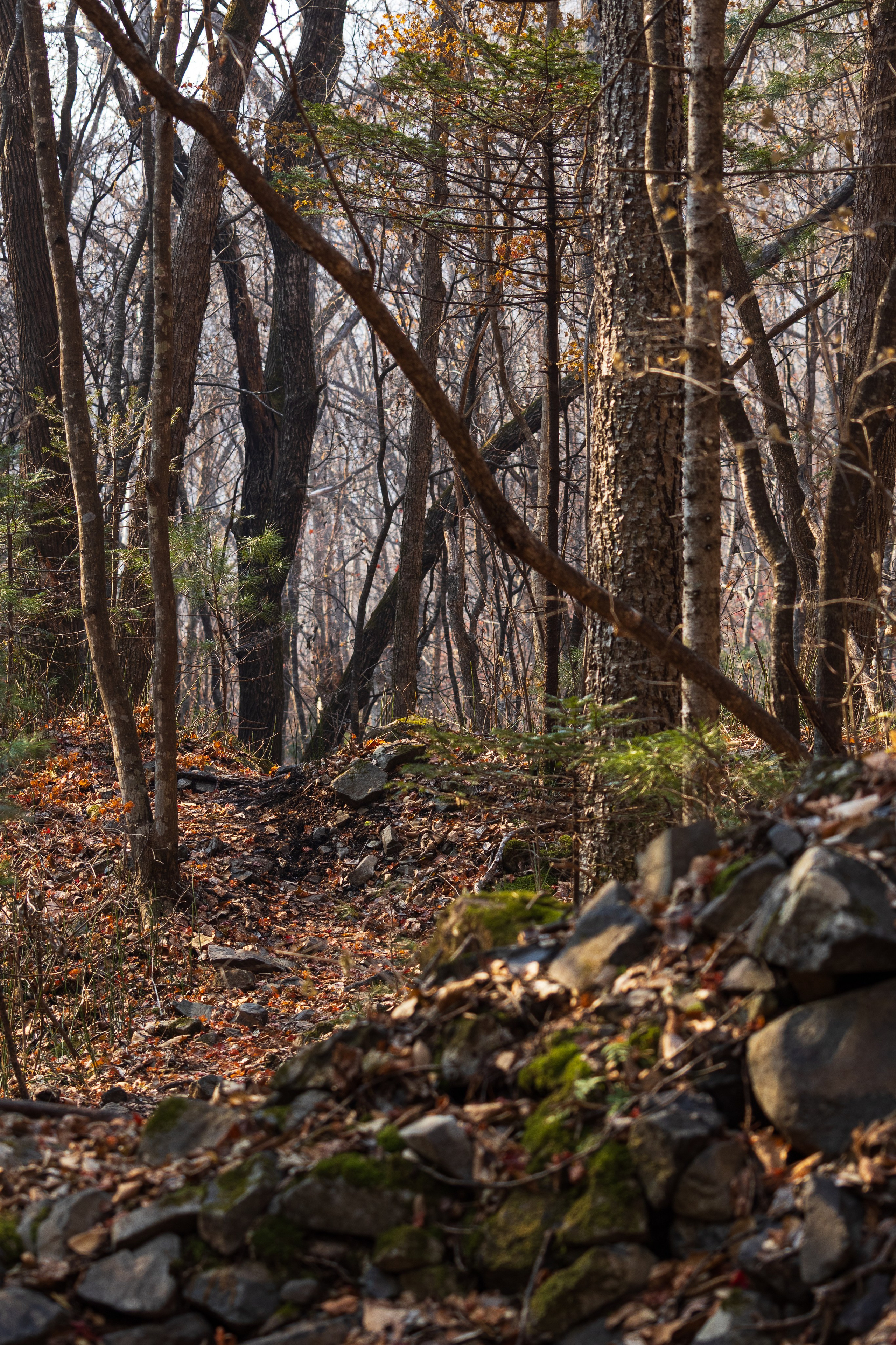 Маруськины слёзы. Константин Кириченко