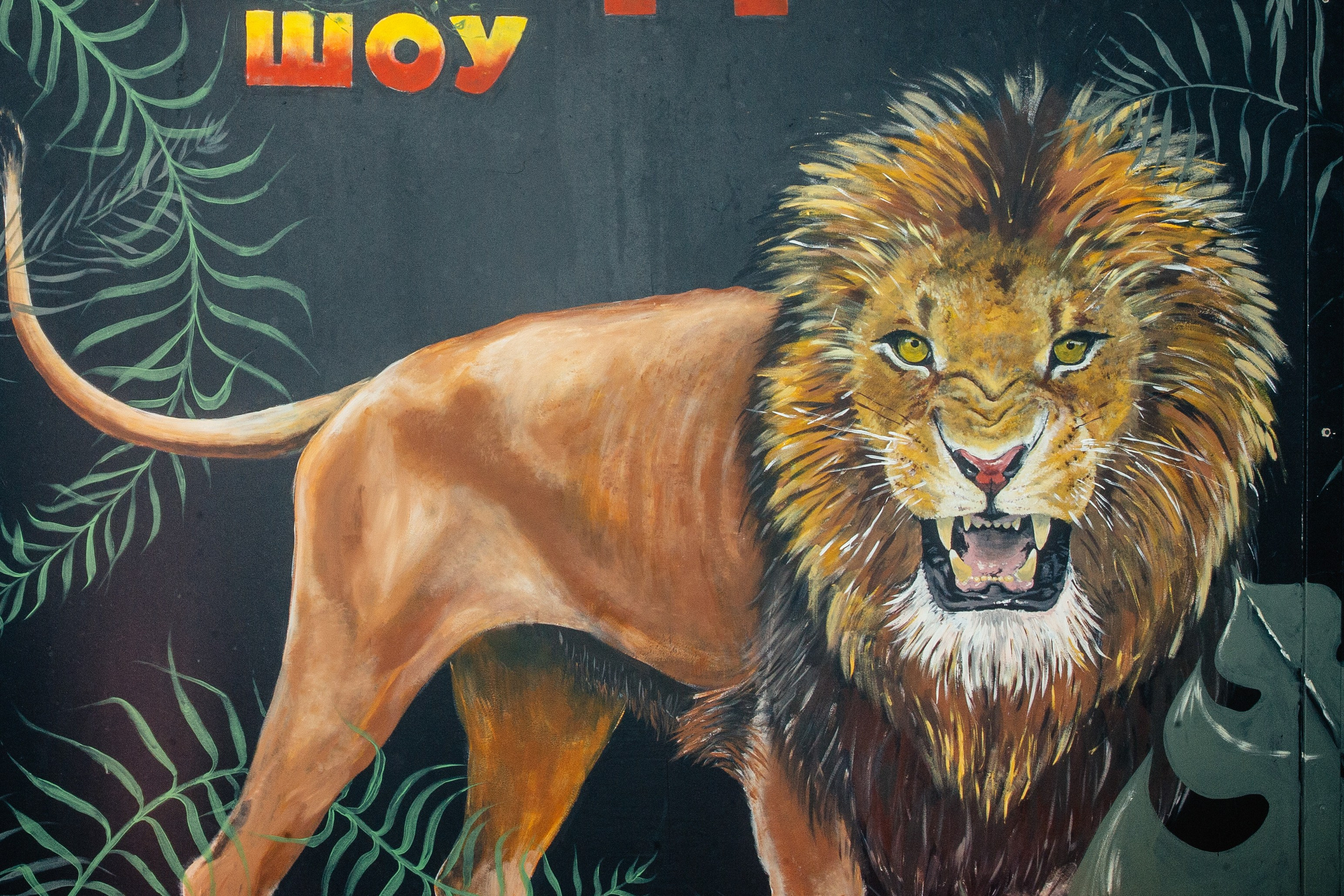 Саше 10 лет. Портфолио свадебного фотографа. Роман Каргаполов