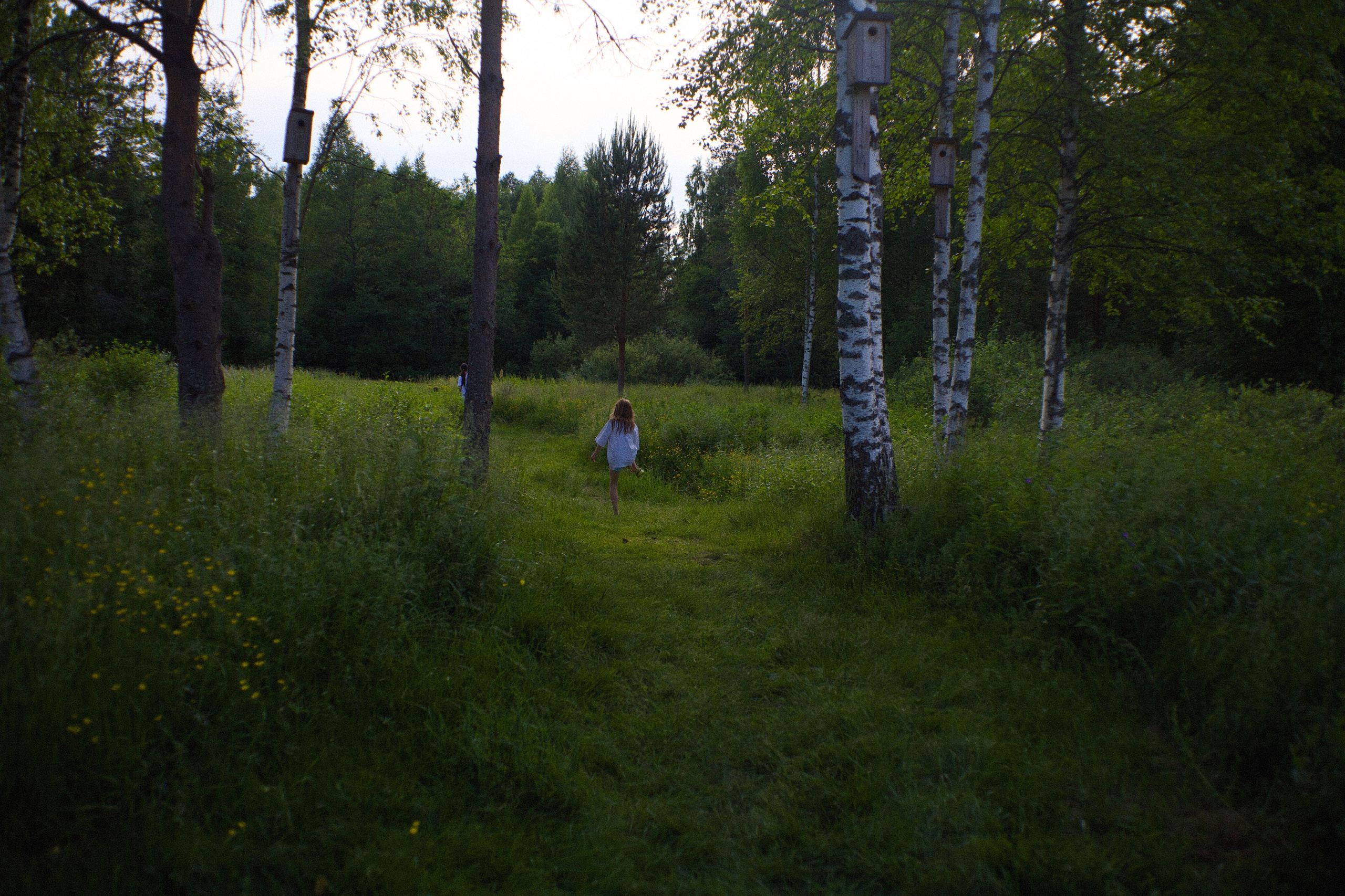 Соблазнение. Den Mirov — Фотограф, Музыкант