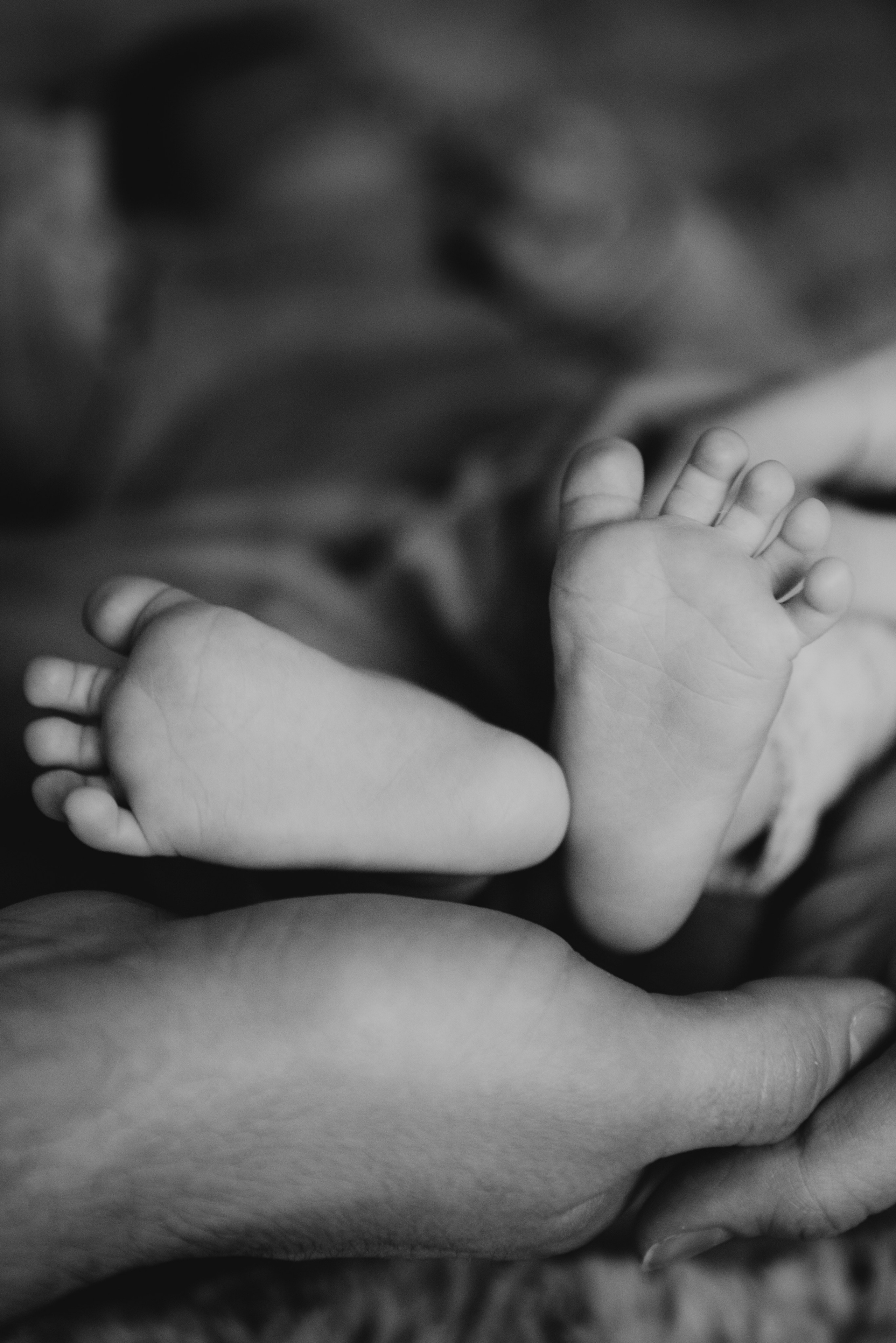 Илья|Ольга|Миша. Фотограф Москва Шептаев Артём