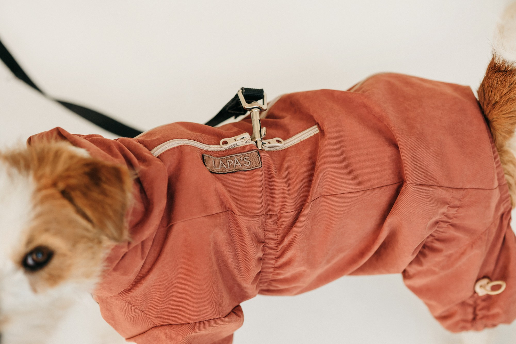 Одежда Lapa`s brand. Фотограф-анималист Елена Радченко, Москва