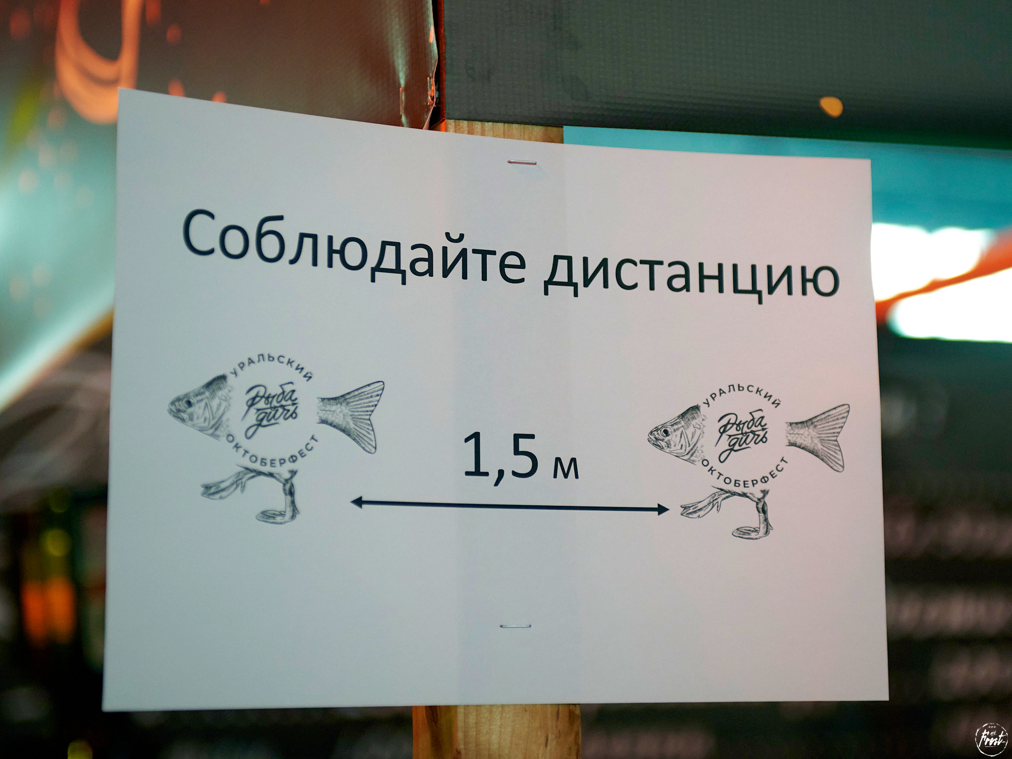 Рыба-Дичь 2020. Фотографии отовсюду и обо всем