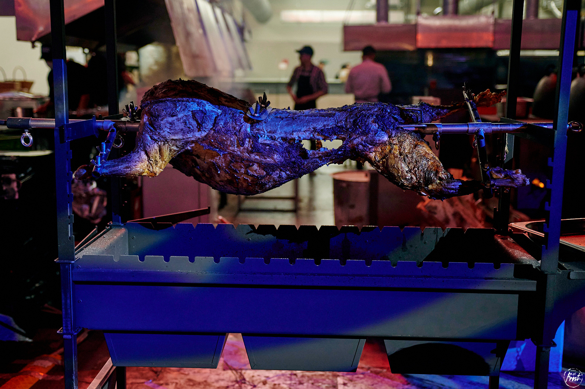 Рыба-Дичь 2020. Фотографии отовсюду и обо всем