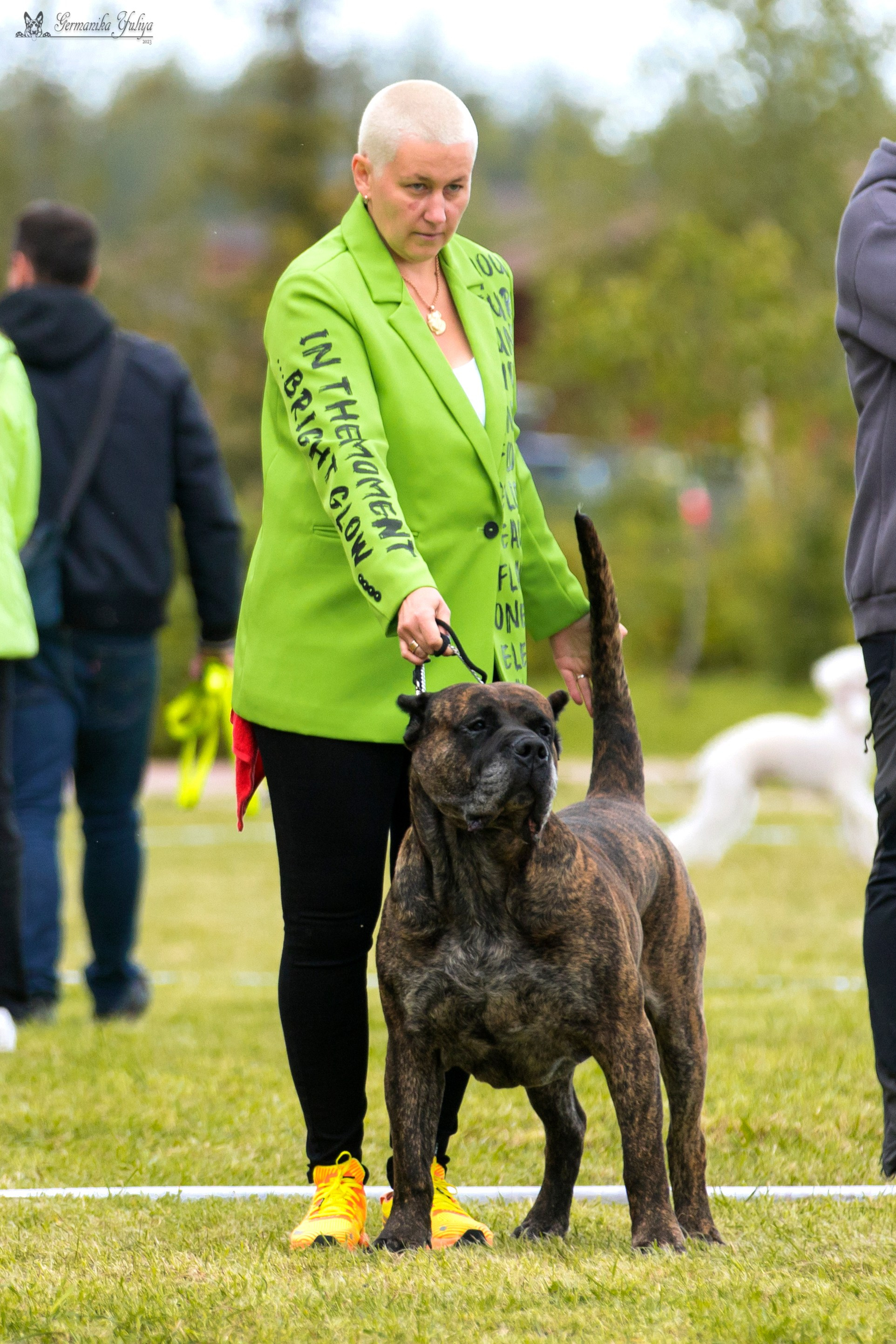 Переславль 9-10.09.2023. Фотограф-анималист Юлия Германика