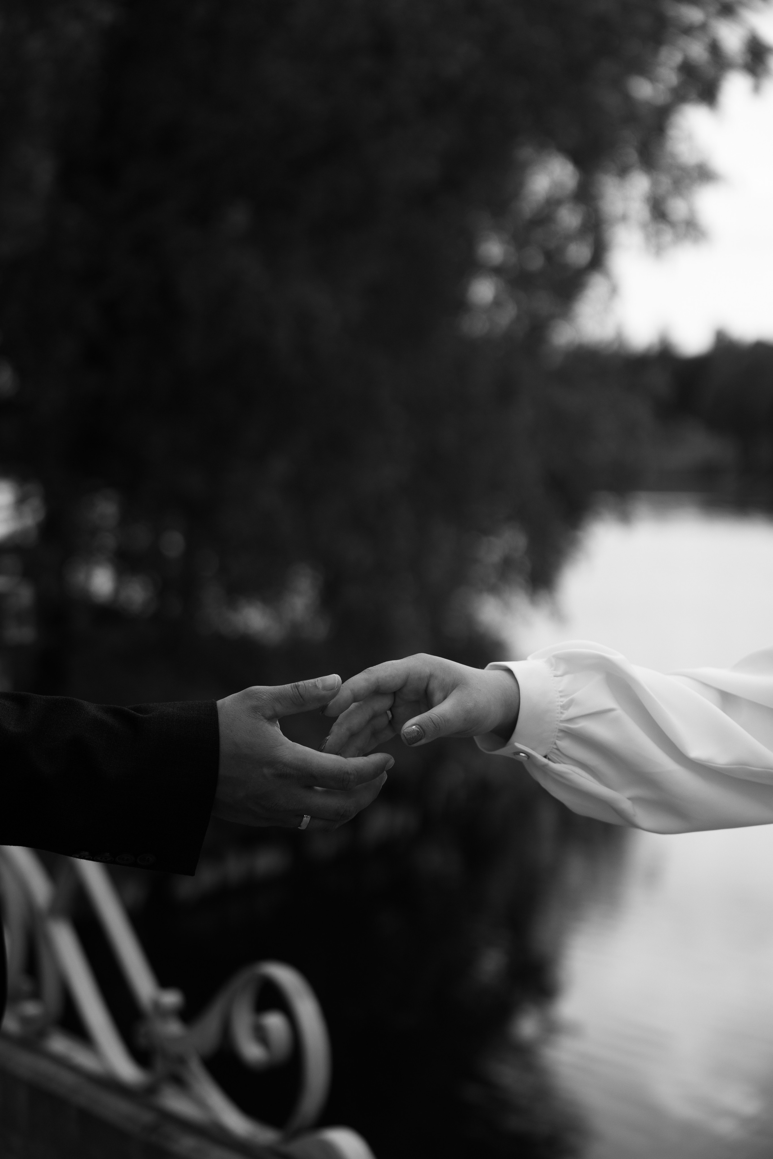 Елизавета и Александр. Свадебный фотограф в Санкт — Петербурге и Ленинградской о