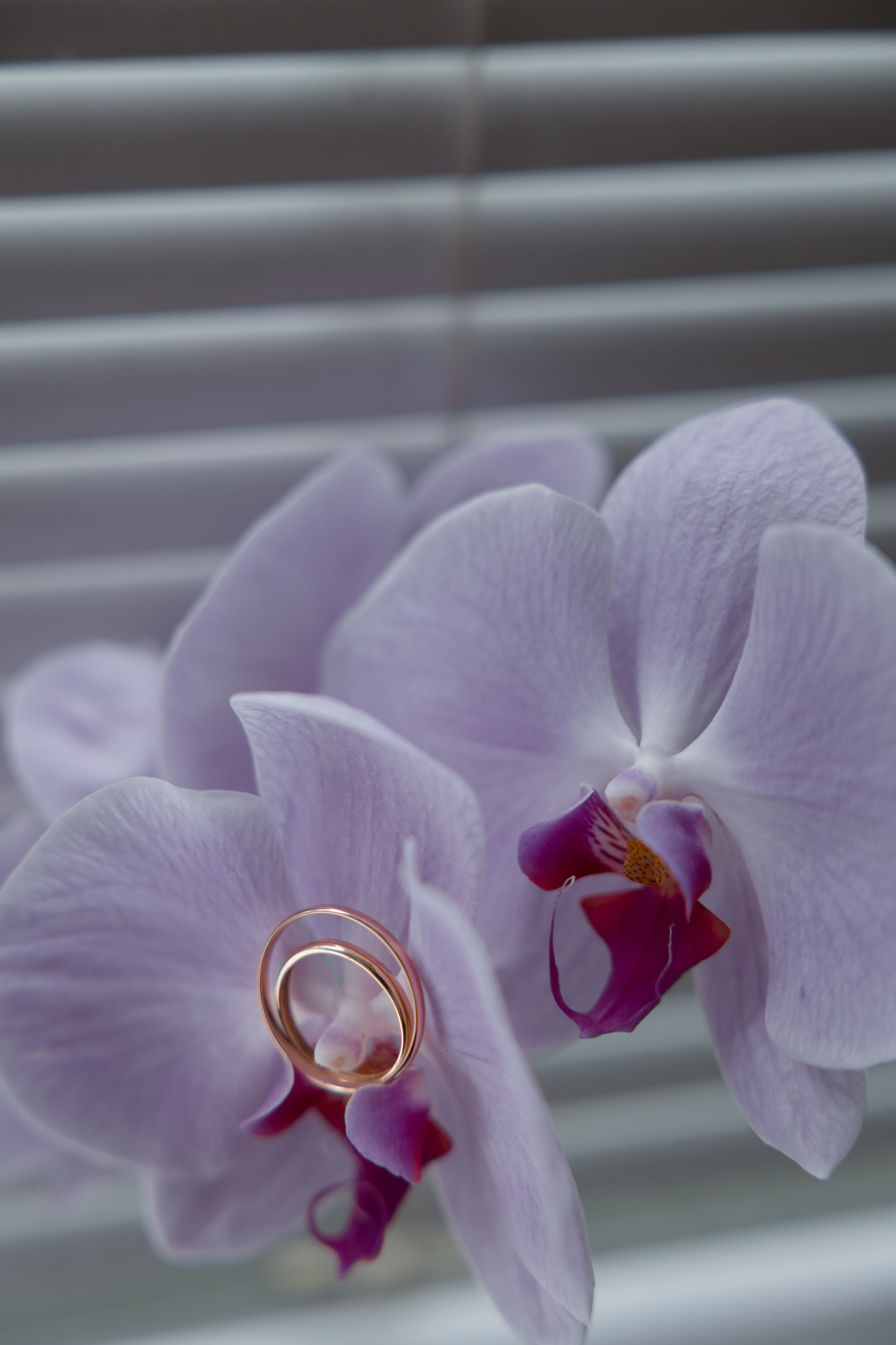 Владислав и Кристина. Свадебный фотограф в Санкт — Петербурге и Ленинградской о