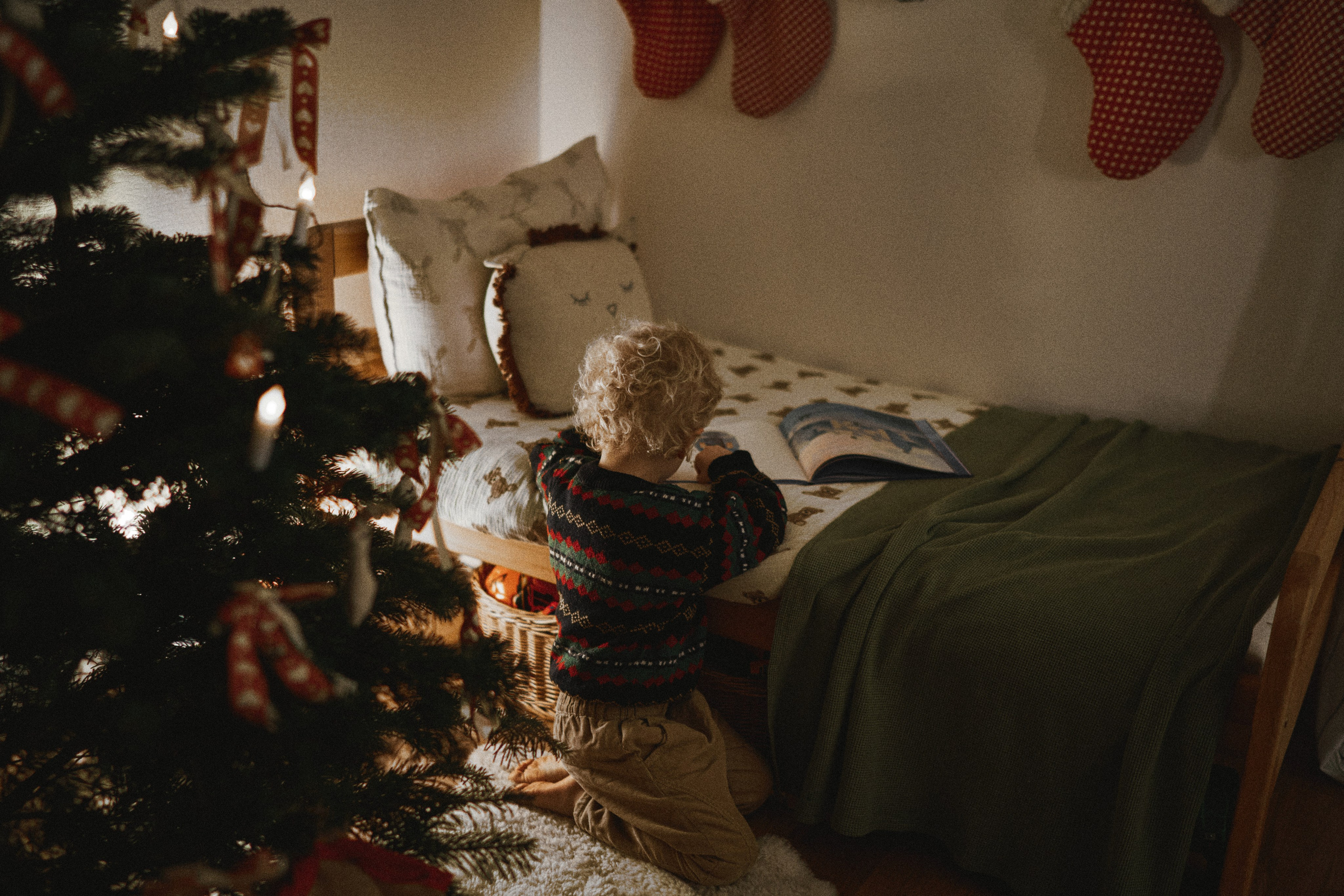 В ожидании Нового Года. Фотограф в Санкт-Петербурге | Аня Маленчук