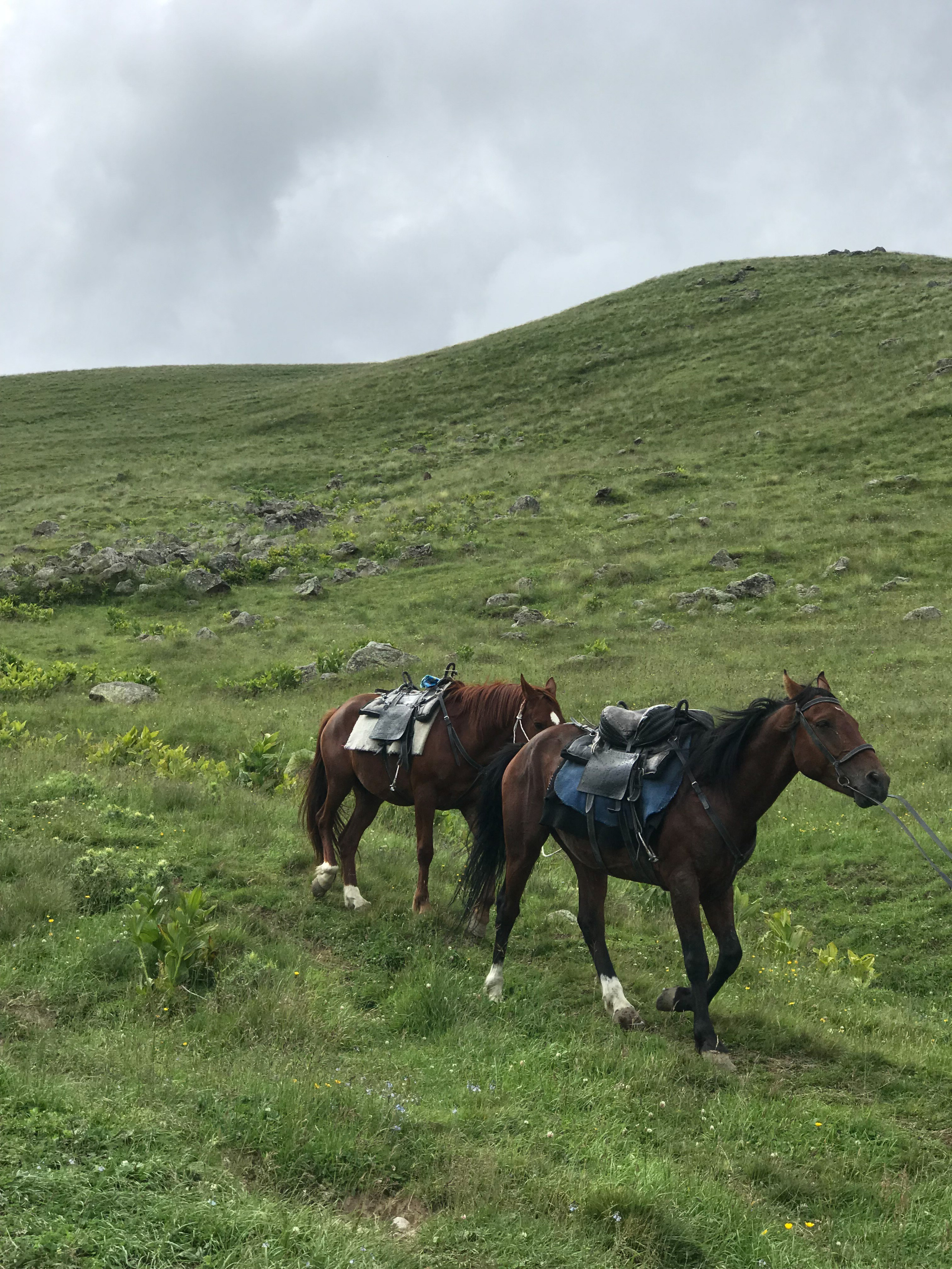 Восхождение на Казбек с Грузии. Уникальные экспедиции — LUCKY CLAN