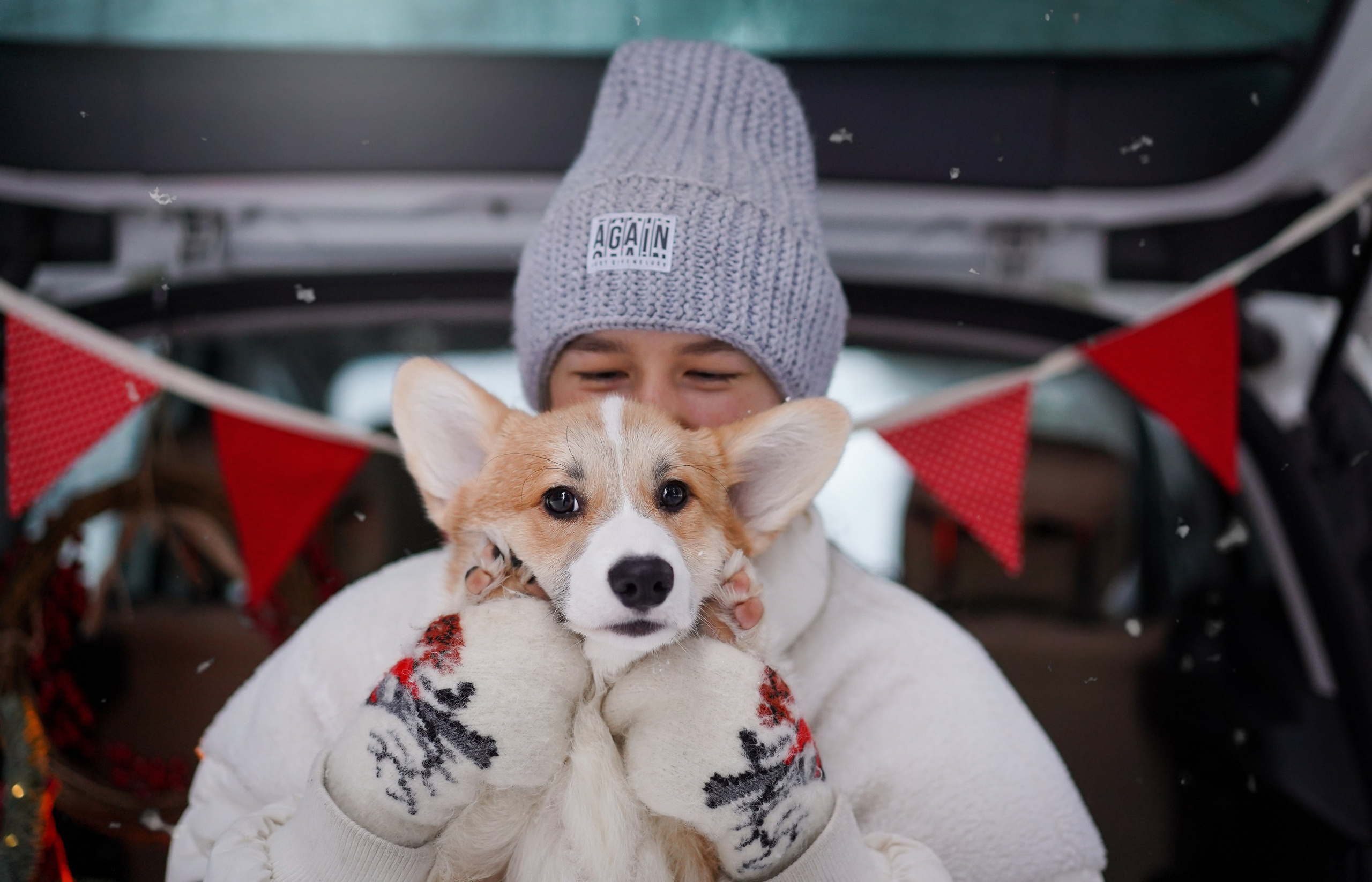 Катя Рокки и Честер. Фотограф-анималист в Санкт-Петербурге Яна Мартынова