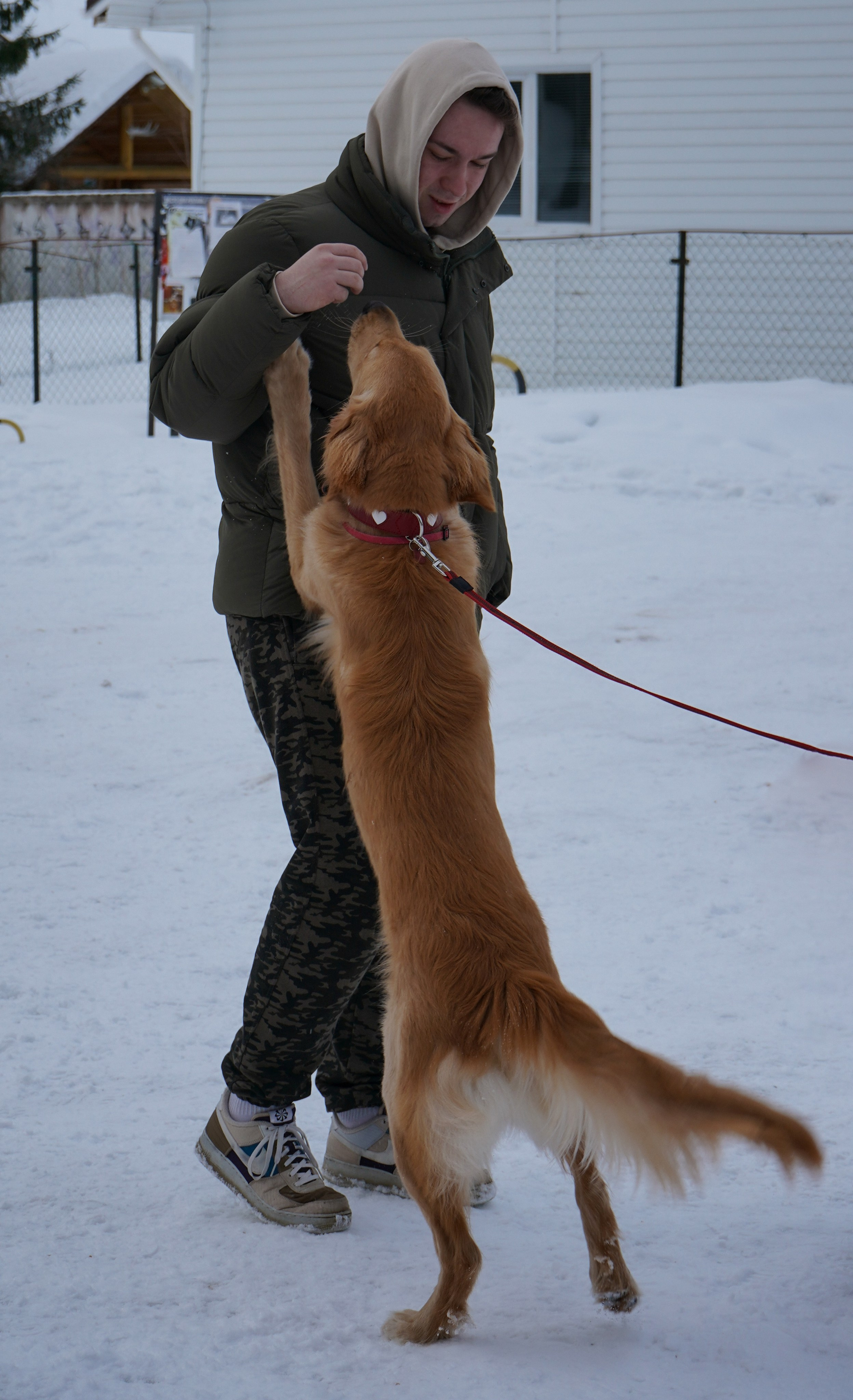 Фотосессии Пушистиков. Фотограф в Санкт-Петербурге Виктория Барышникова