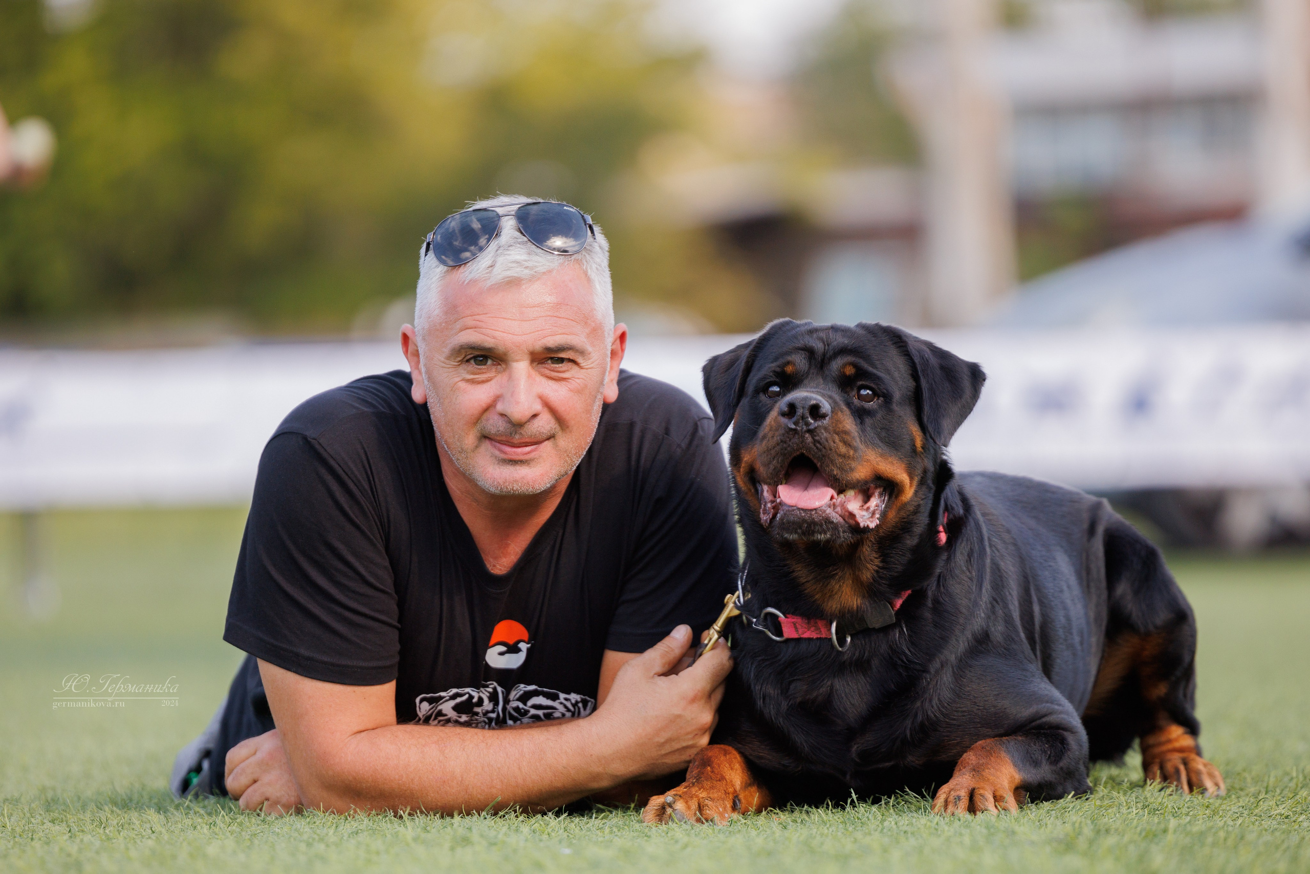Анапа ротвейлеры 14-15.09.2024. Фотограф-анималист Юлия Германика