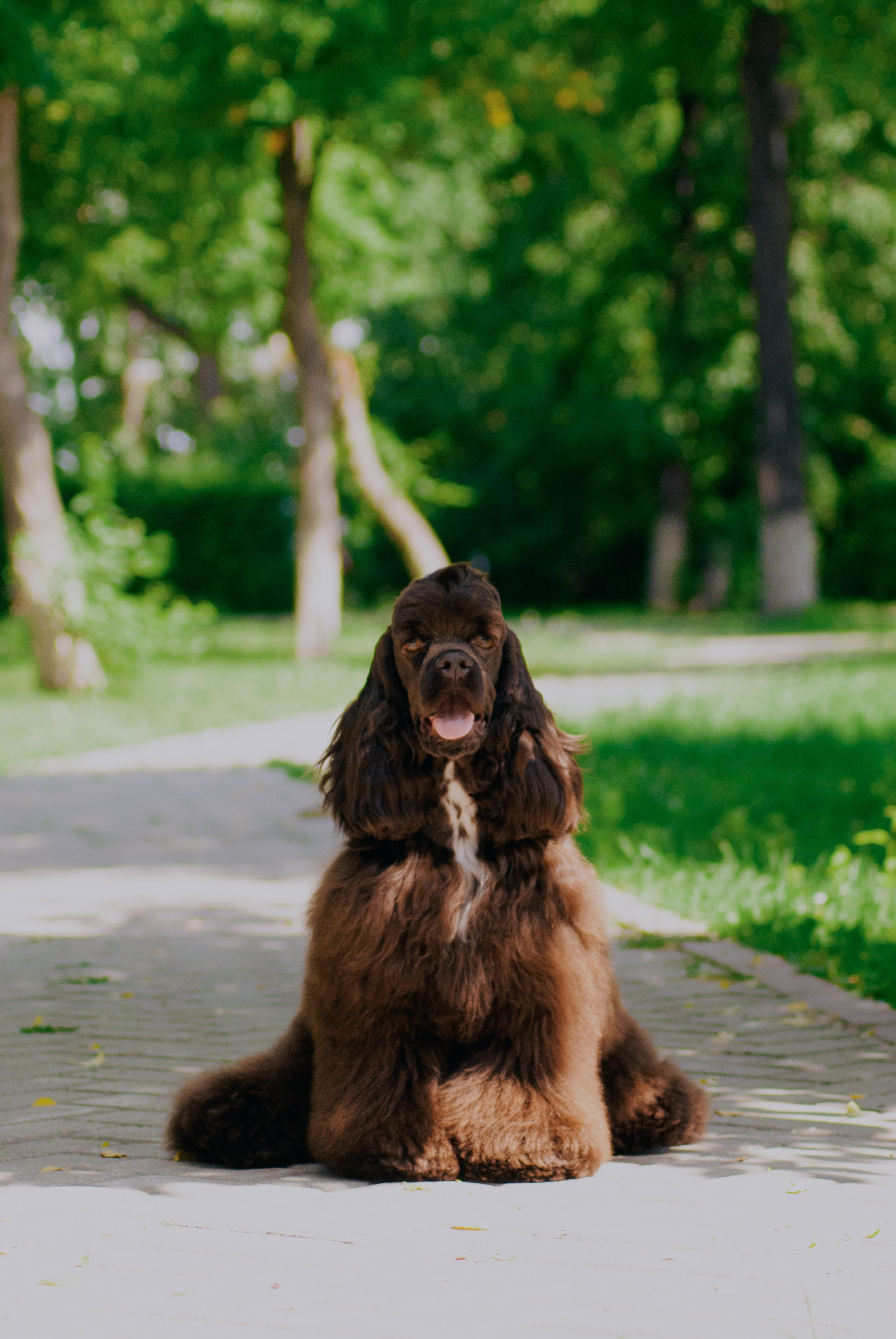 Лера и Анри. Фотограф в Тюмени Лизавета Сапицкая