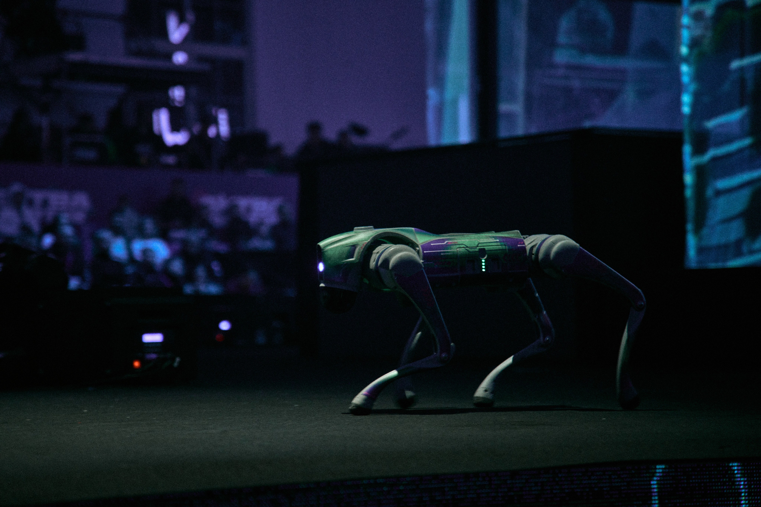 БИТВА РОБОТОВ / ФИНАЛ 2025. Фотограф мероприятий / Ваши воспоминания — Моя забота