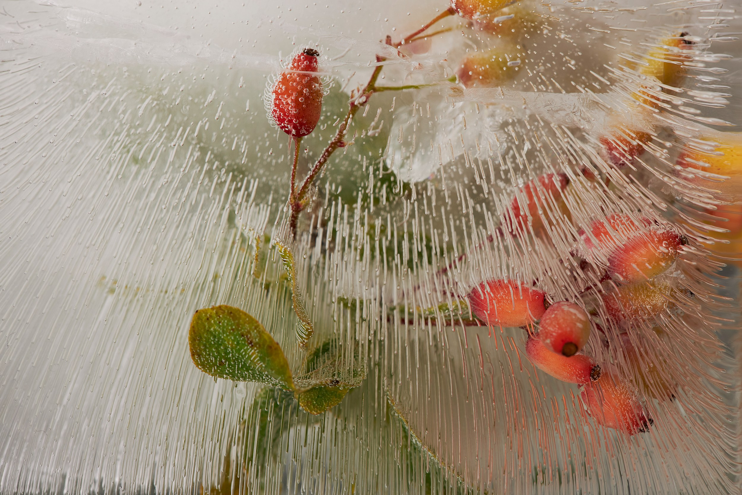 Рекламная предметная фотография