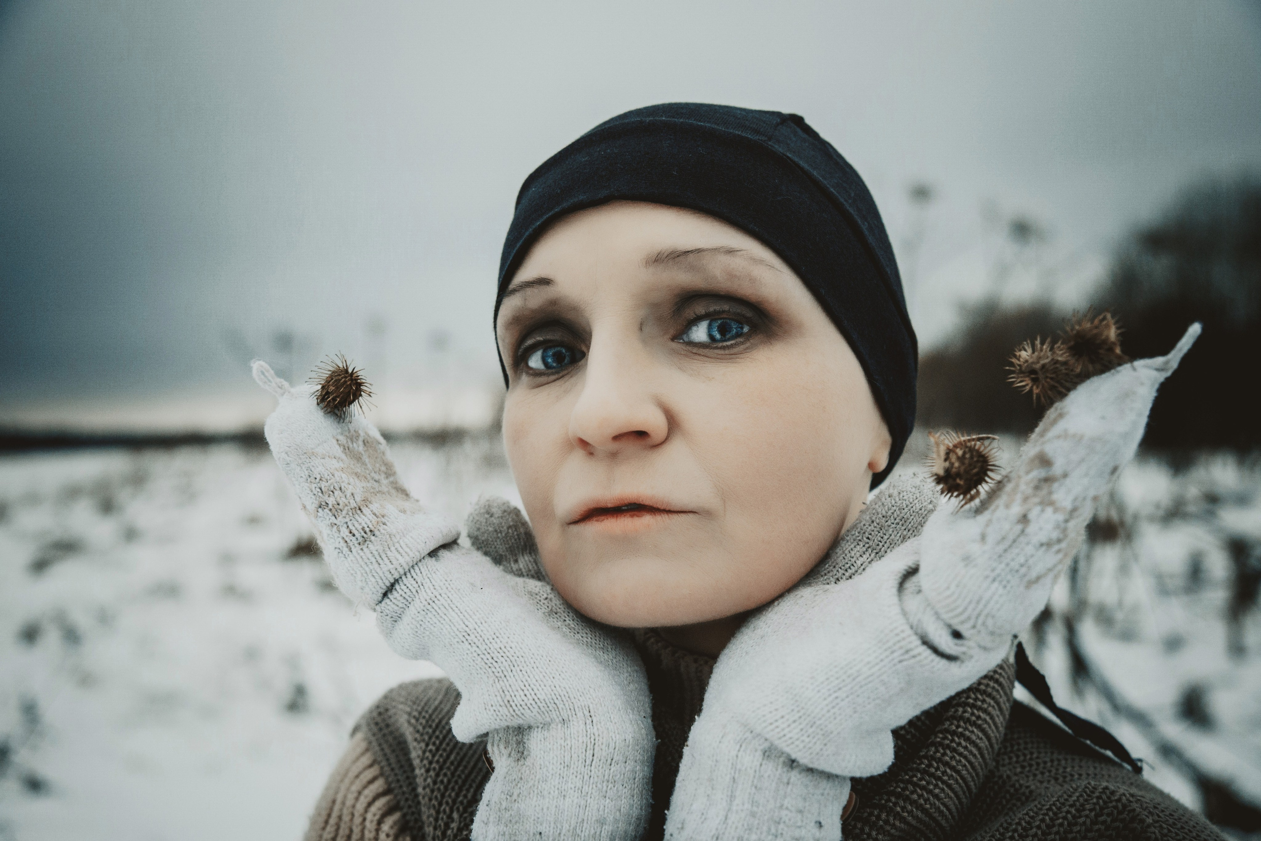 2024-11-23. Операция «Борщевик»