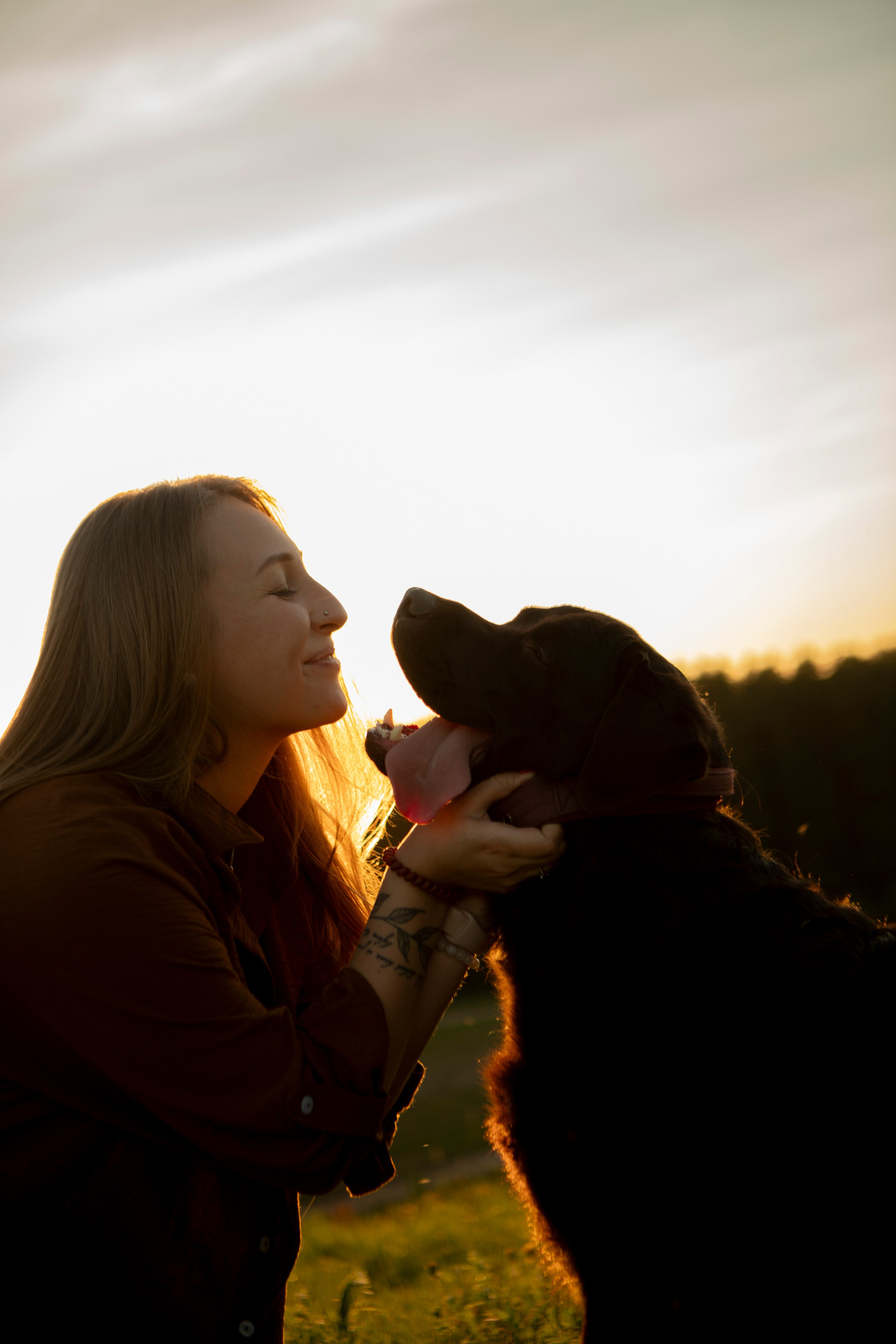 Закатная. Фотограф-анималист в Санкт-Петербурге Алина Яхонт