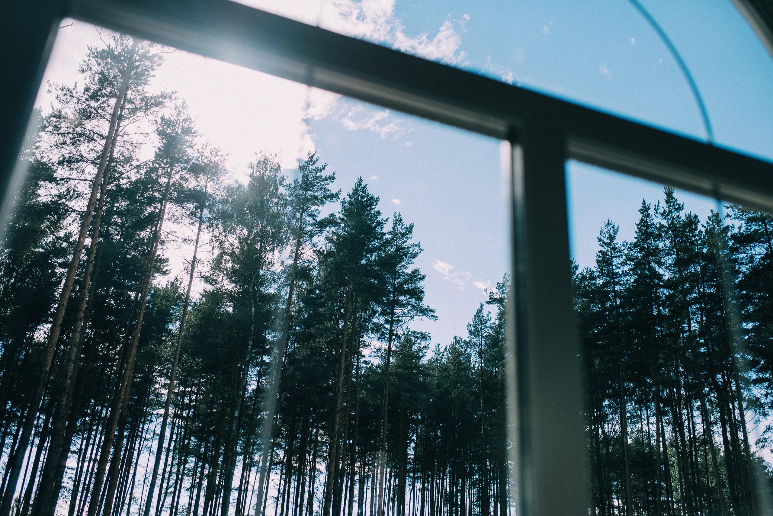 НАТАША И ЛЕША. Шашкова Вероника / Свадебный и семейный фотограф Москва и Ярославль