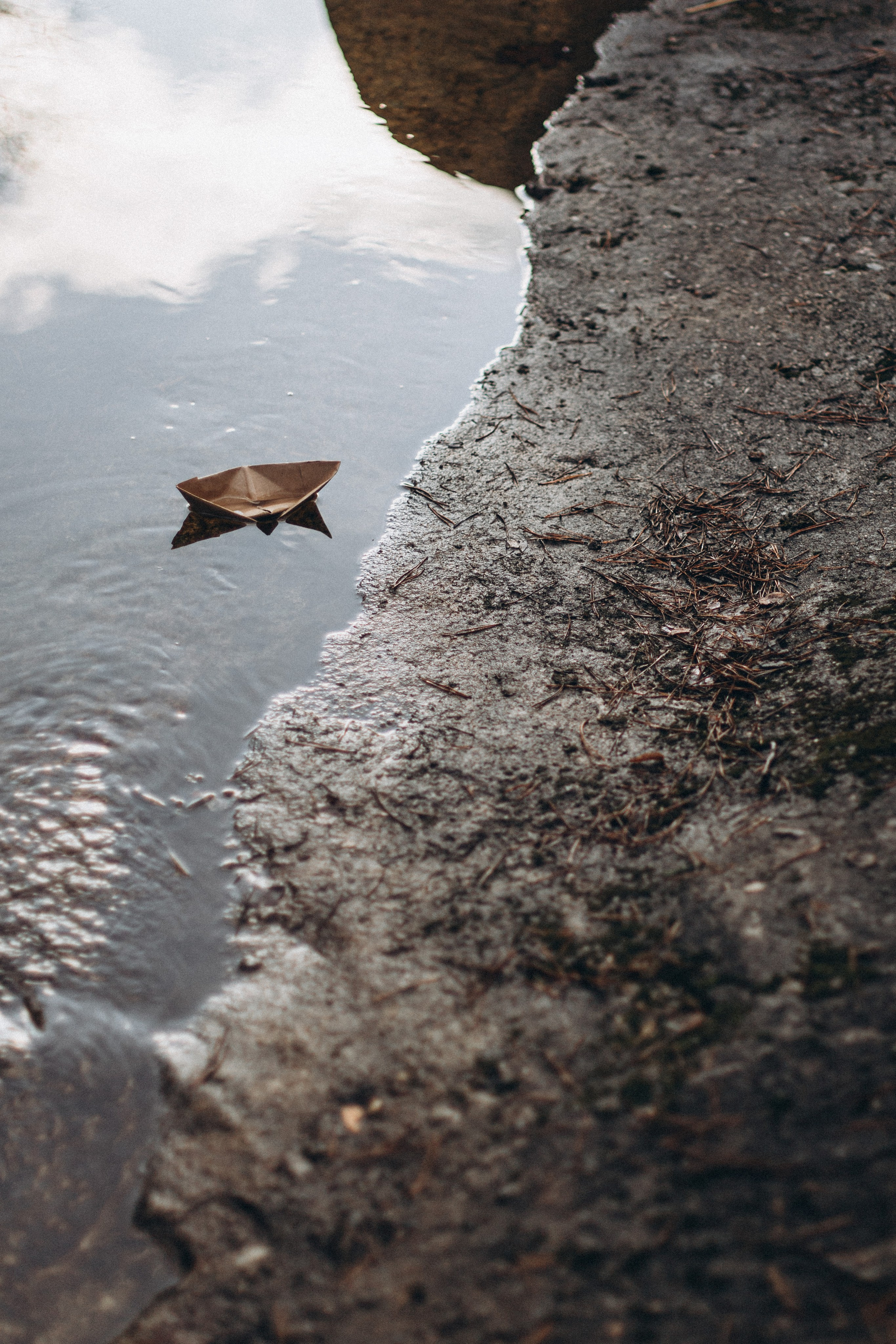 Весна. Репортажный и детский фотограф в Минске