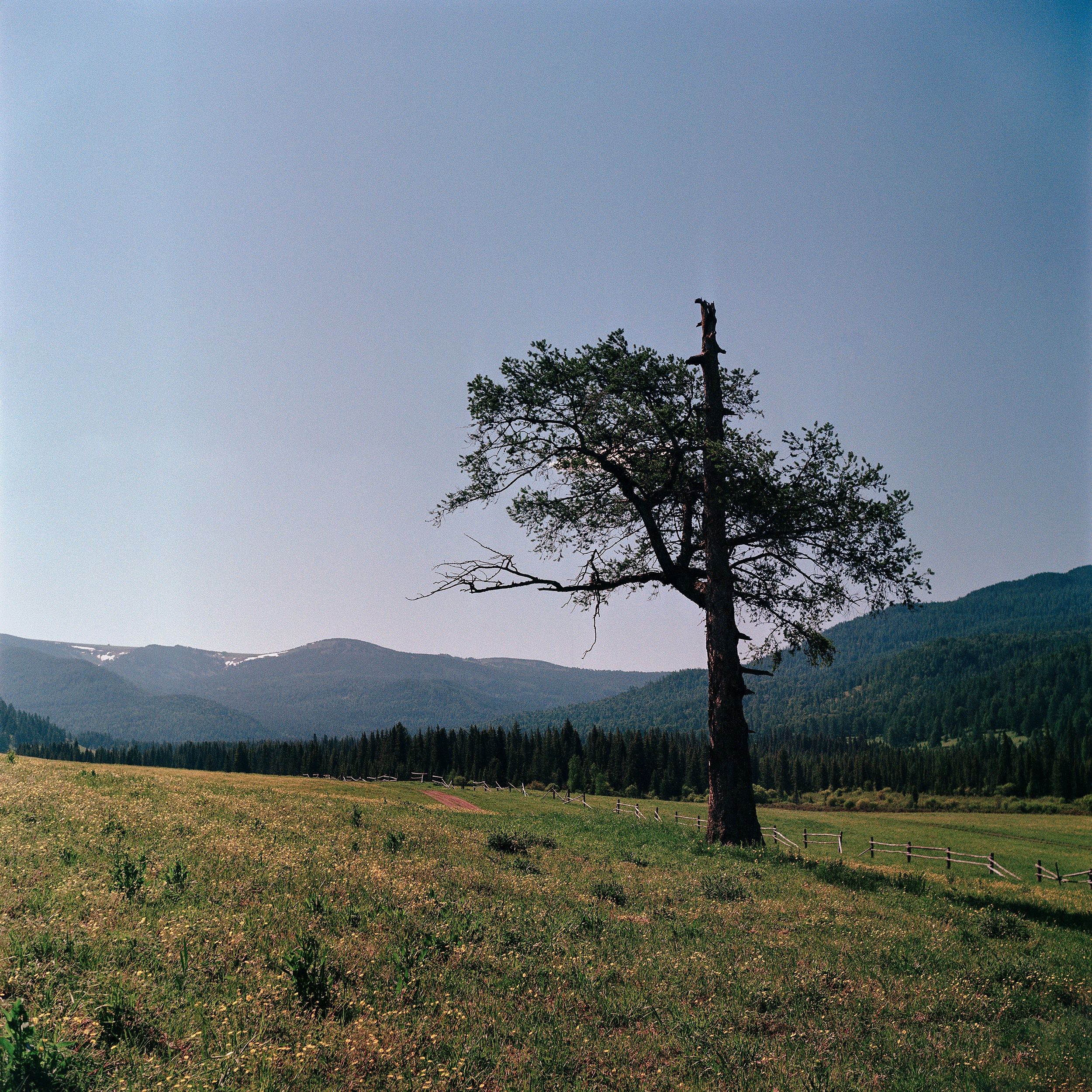 Пейзажные фотографии Алтая. Портретный и репортажный фотограф. Мыльников Илья
