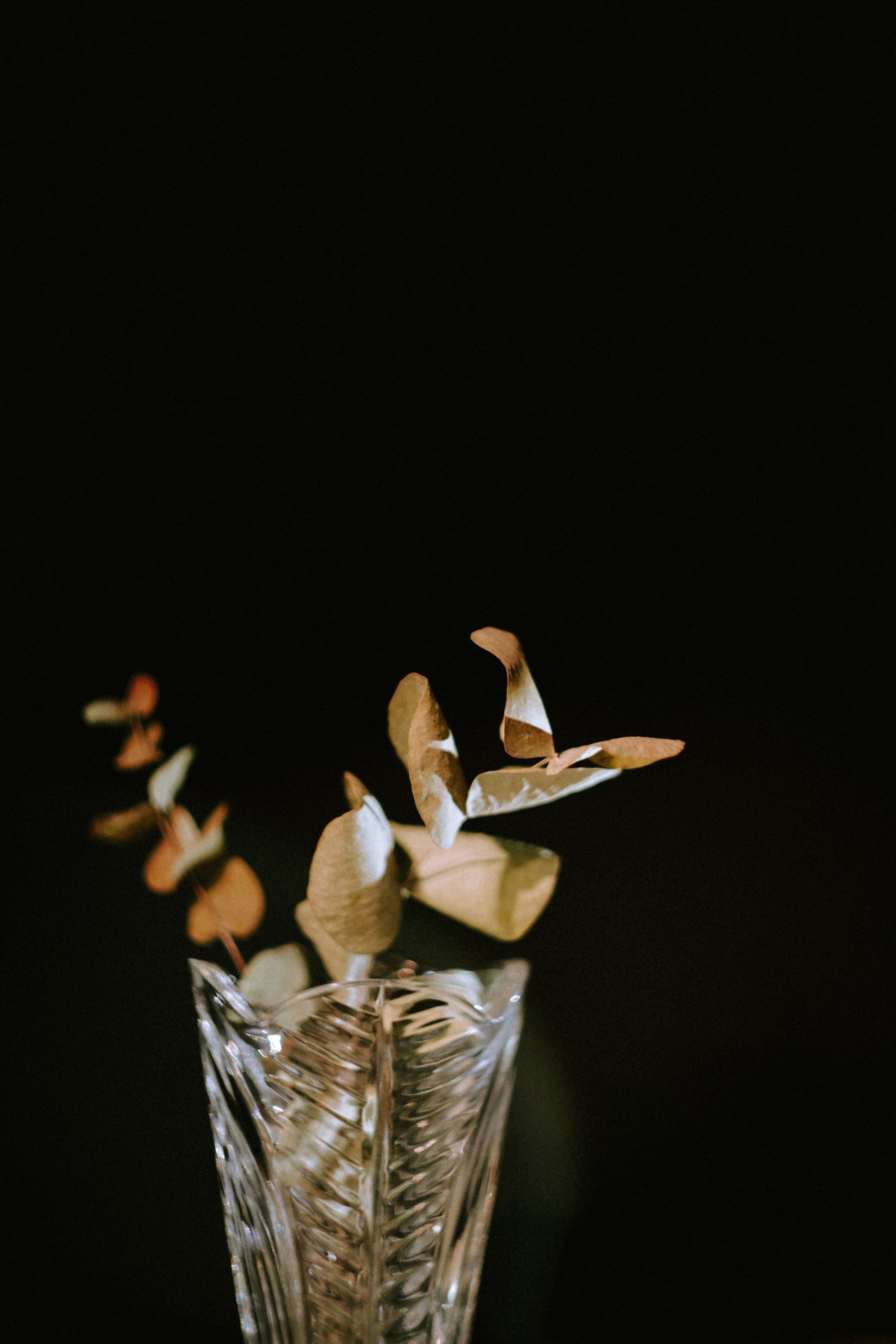 Вдохновение. Ph___tina