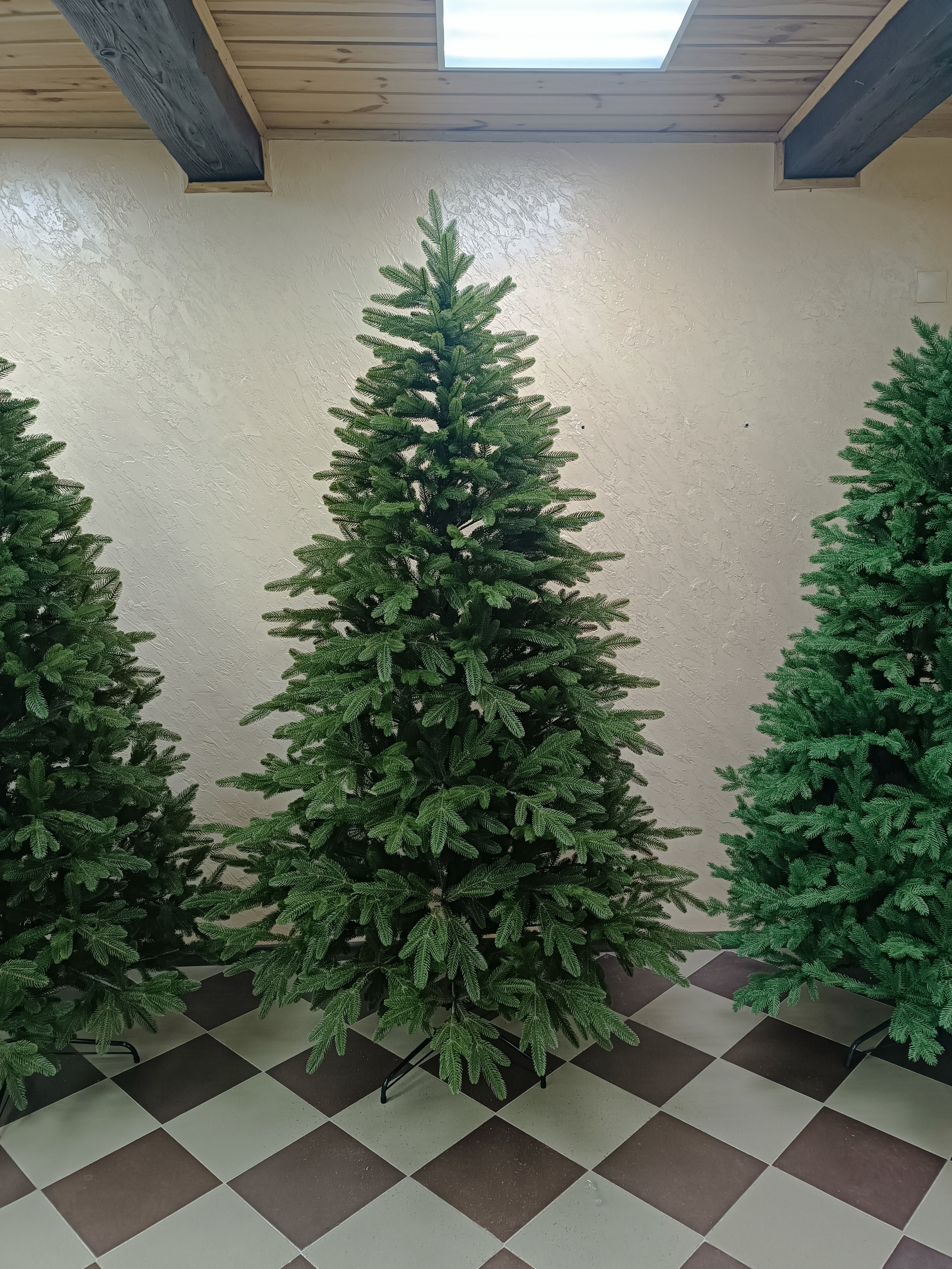 КАРОЛИНА. Elki_grodno