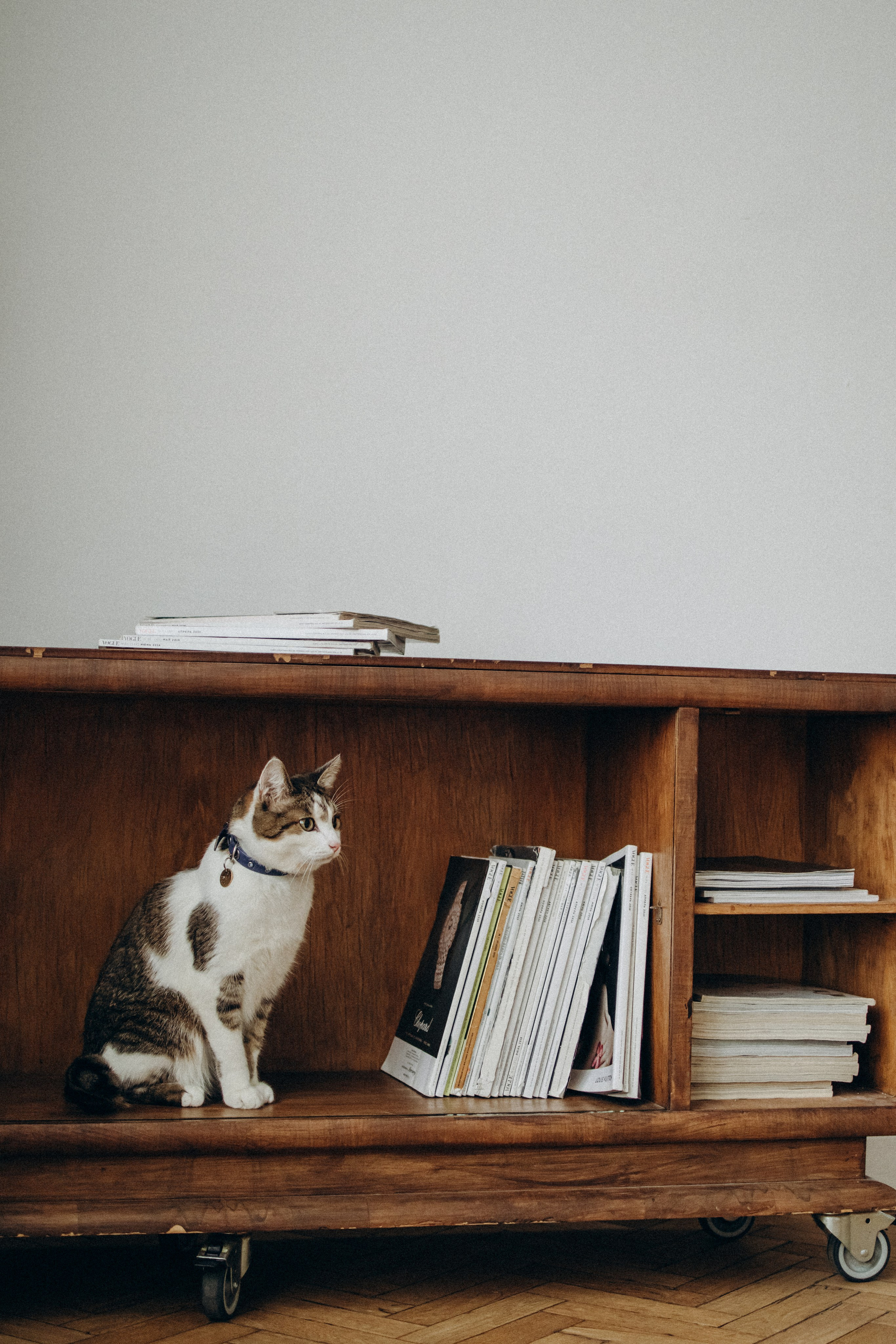 Ксюша и Яша. Фотораф — анималист Мария Шистка