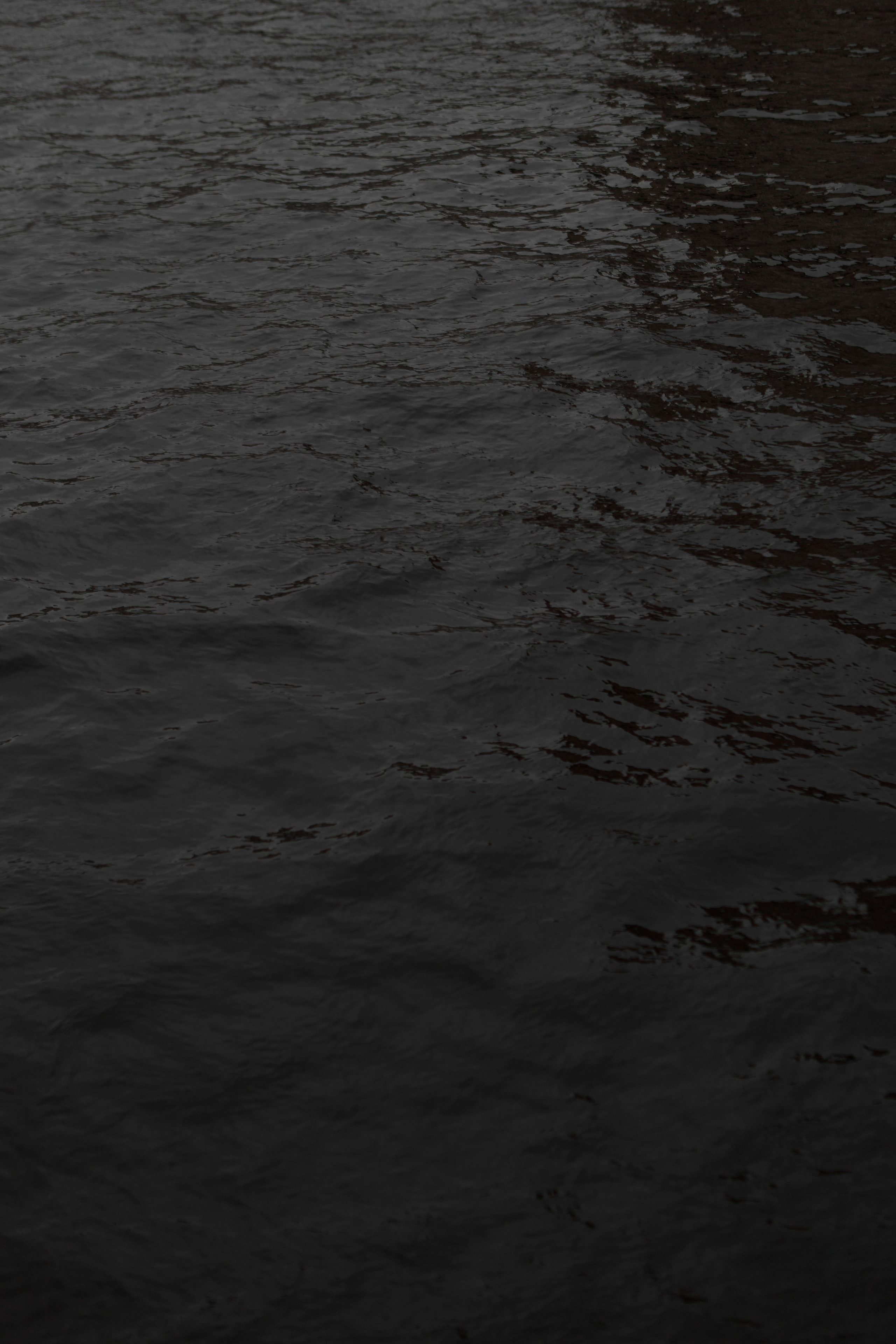 П+Д. Свадебный фотограф Нижний Новгород