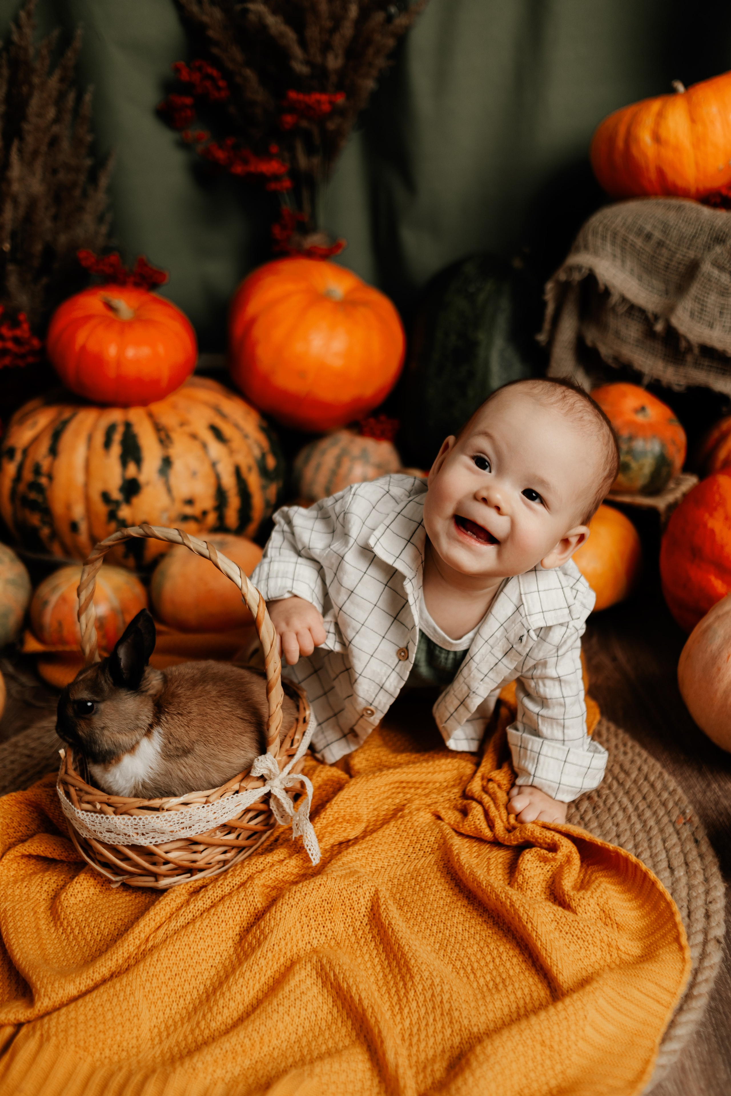 Фотопроекты. Фотограф новорождённых семейный фотограф Томск Елена Каплина