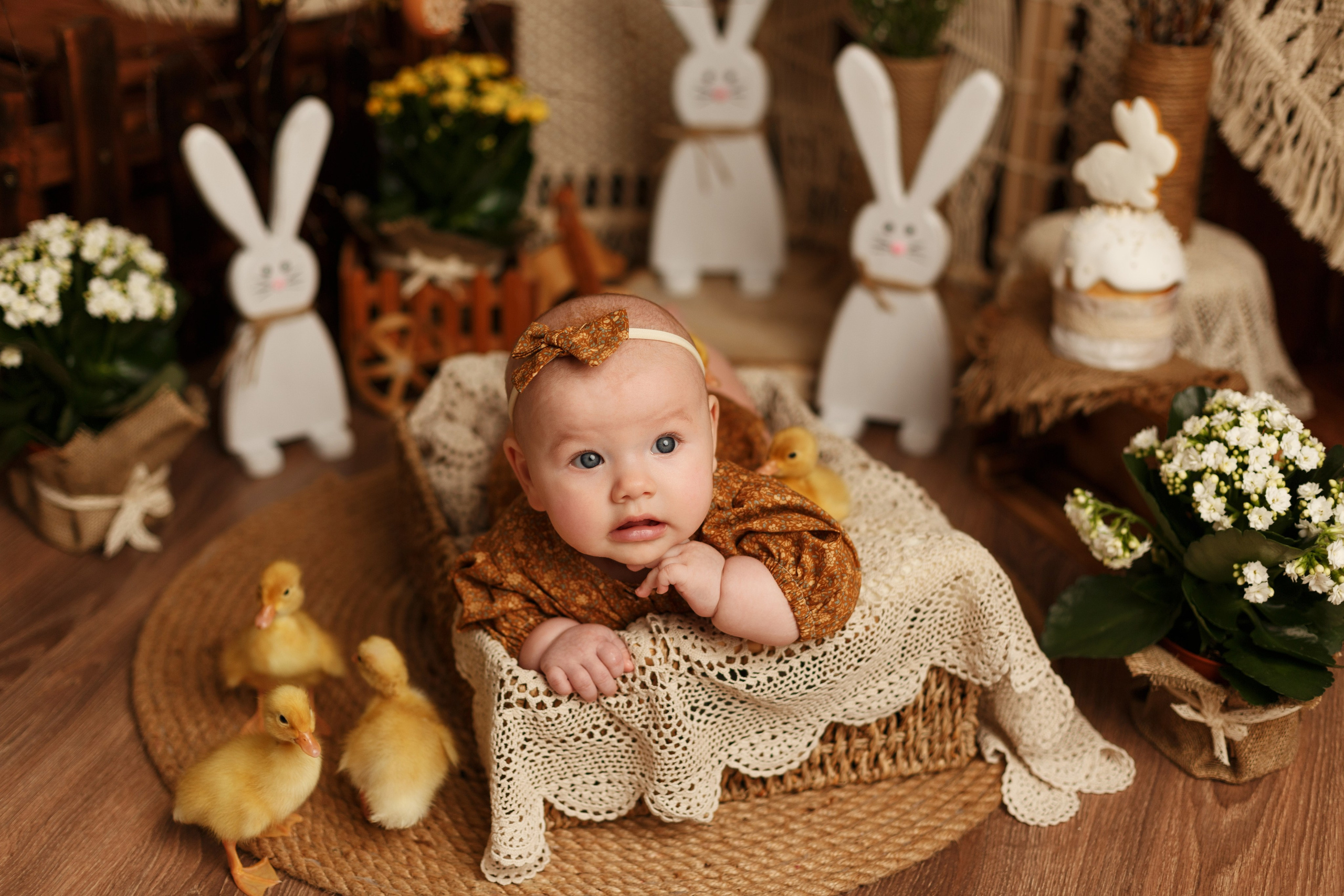 Фотопроекты. Фотограф новорождённых семейный фотограф Томск Елена Каплина