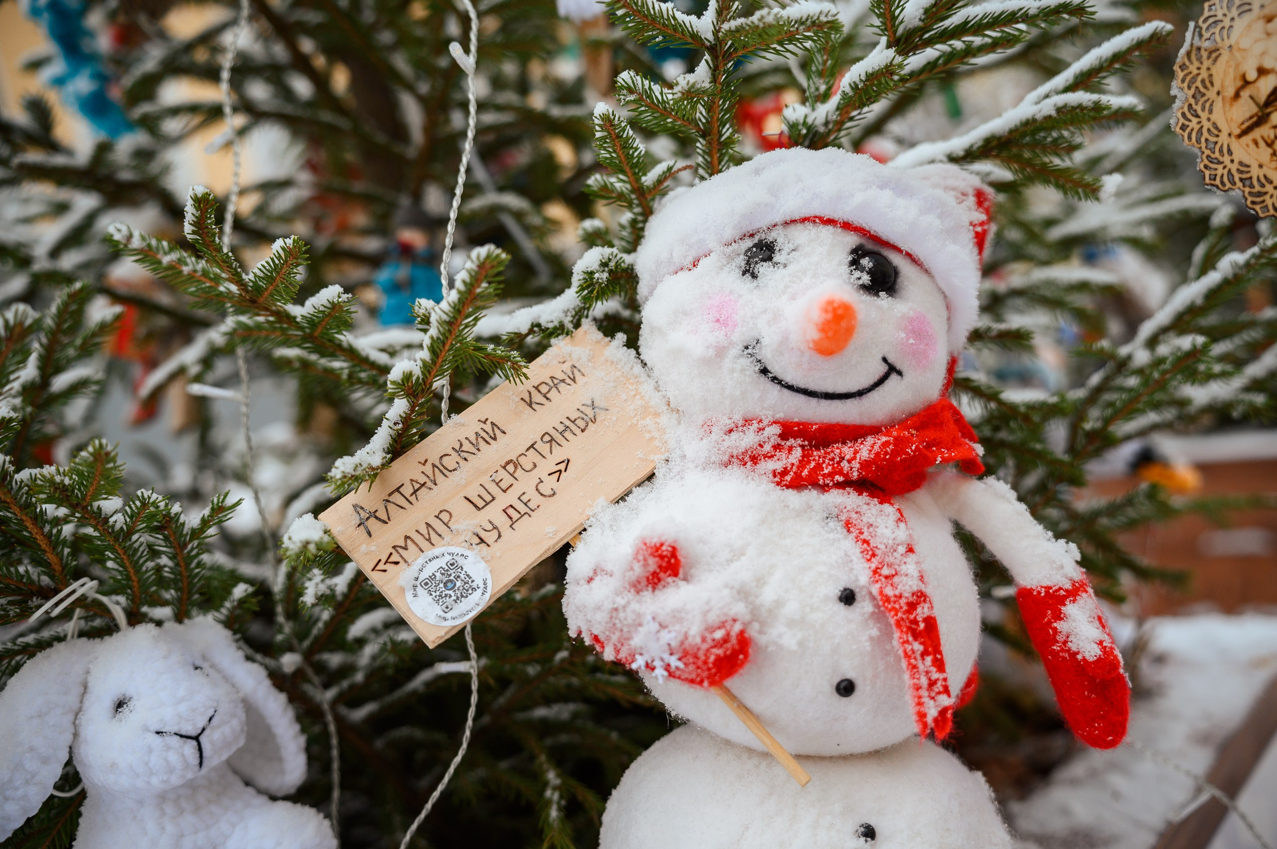 Новогодние волонтеры | Открытие Новогодней столицы Кирова 2025. Репортажный фотограф в Кирове Александр Лутошкин