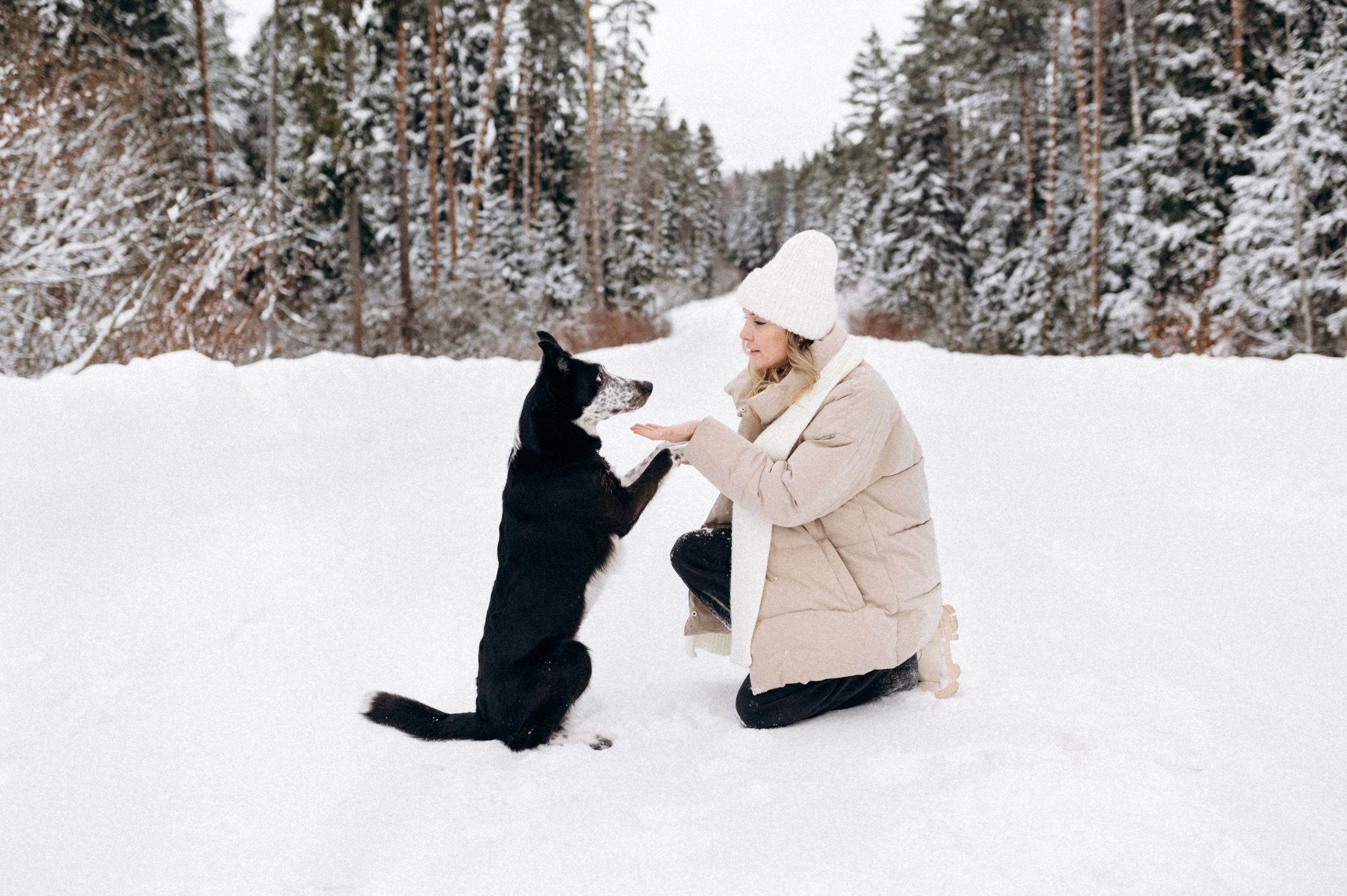 Аня и Милан. Фотограф анималист в Москве Ольга Агушева